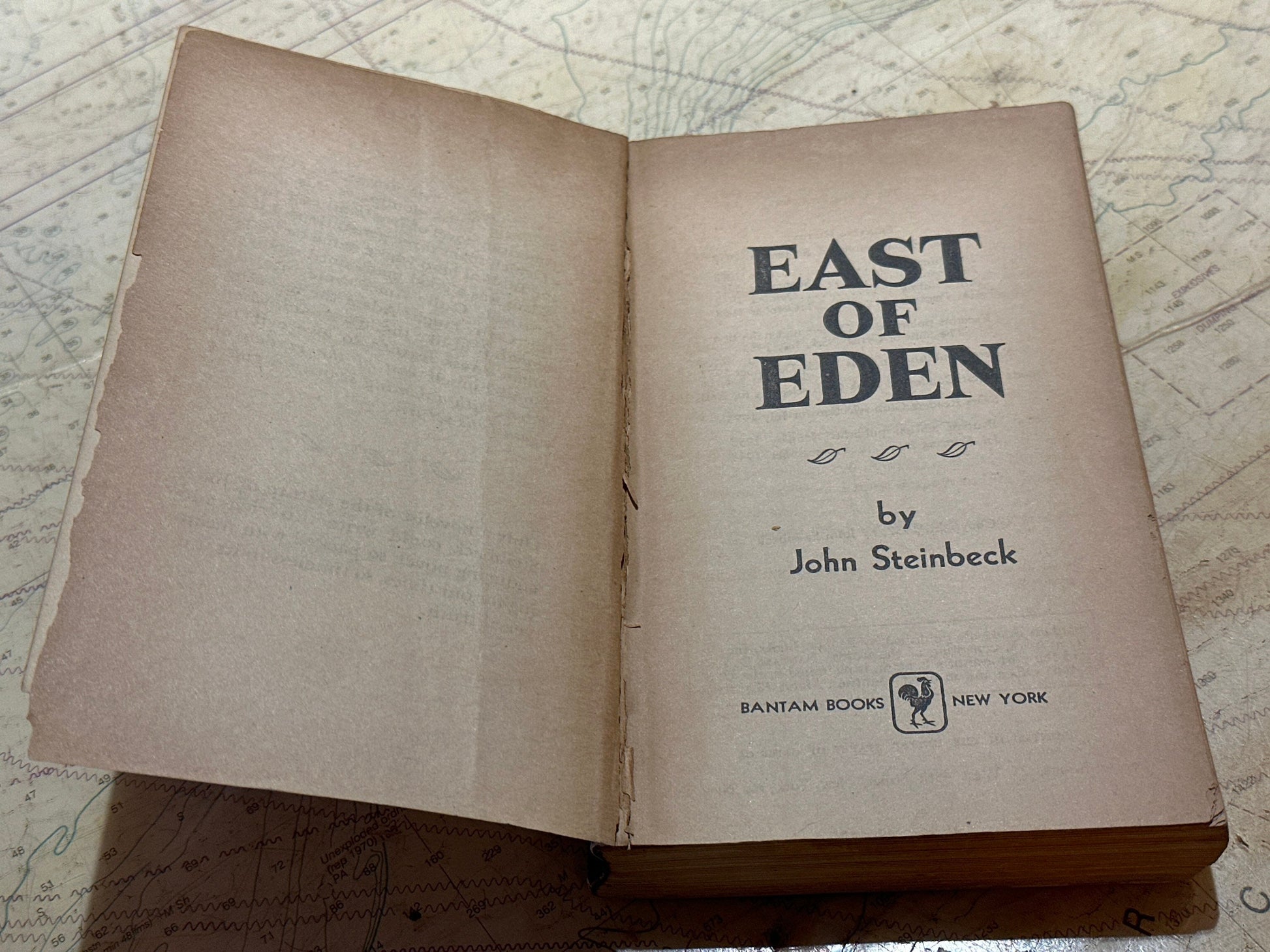 East of Eden by John Steinbeck | Literature