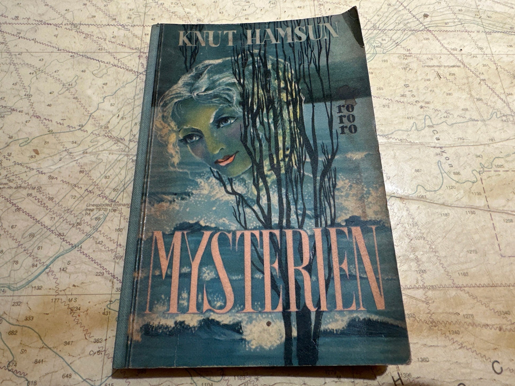 Mysterien by Knut Hamsun | Literature