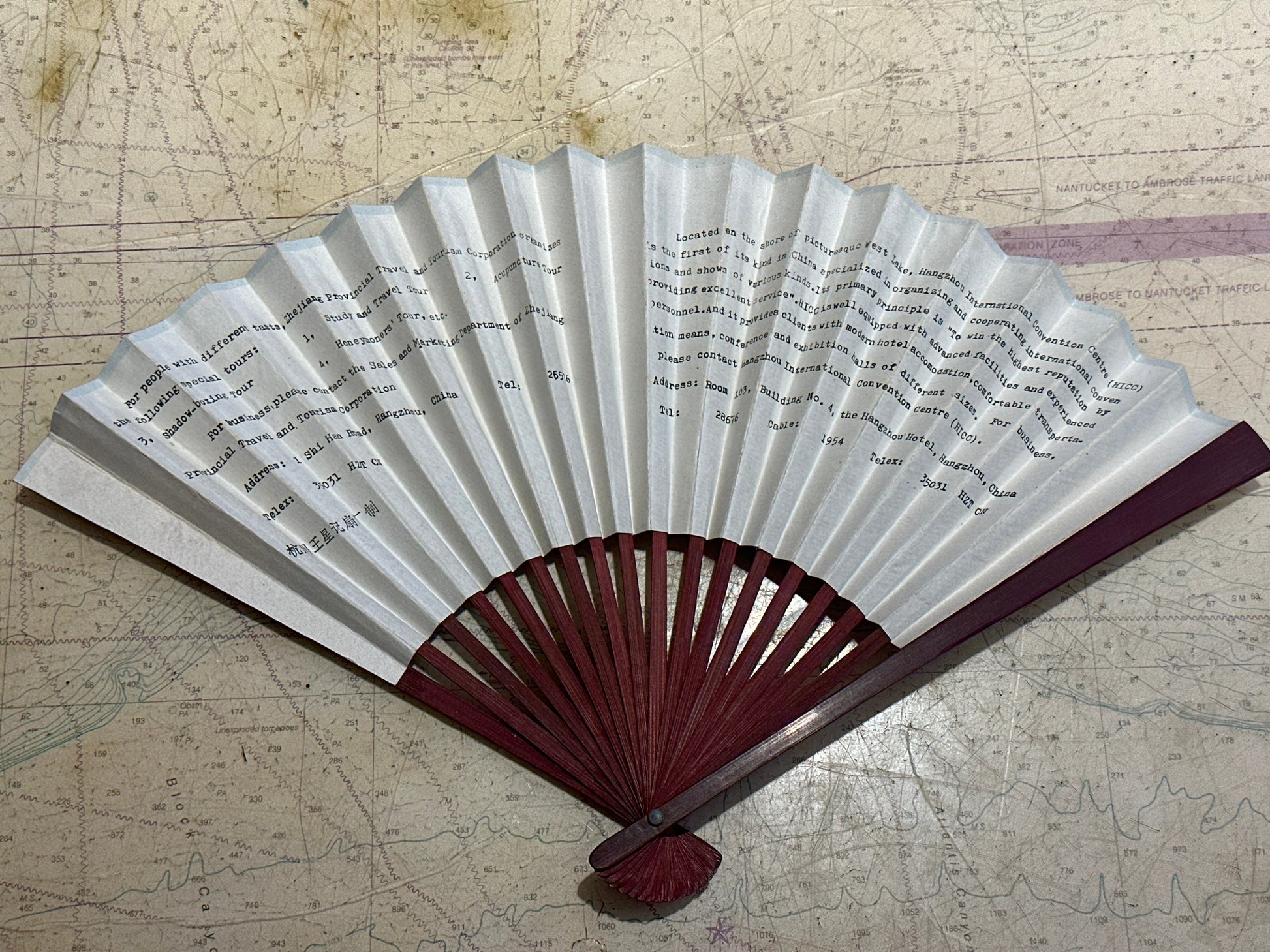 Chinese Hand Held Folding Fan | Paper Fan | Accessories