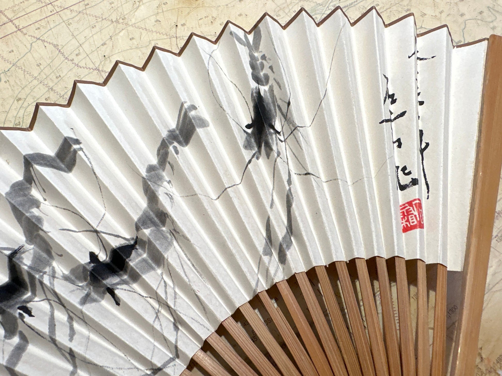 Chinese Hand Held Folding Fan | Paper Fan | Accessories