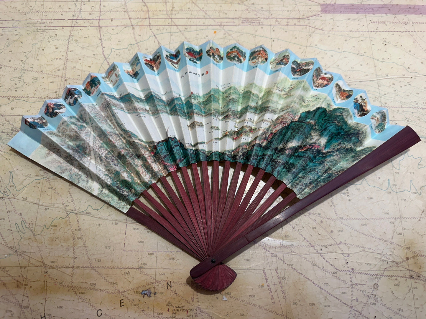 Chinese Hand Held Folding Fan | Paper Fan | Accessories