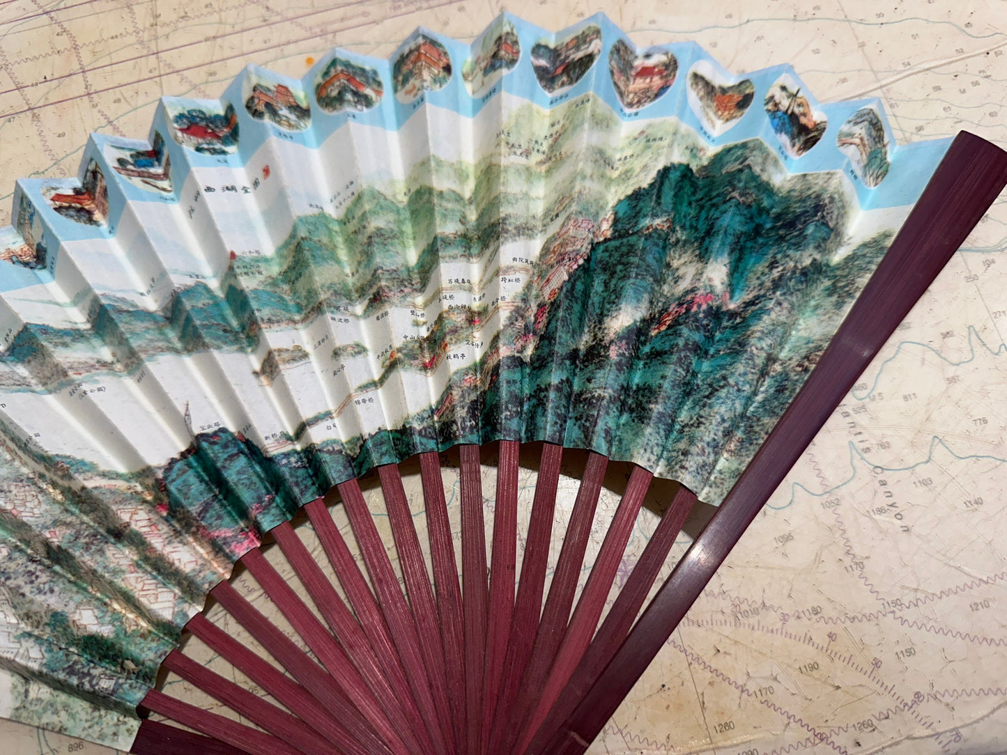 Chinese Hand Held Folding Fan | Paper Fan | Accessories