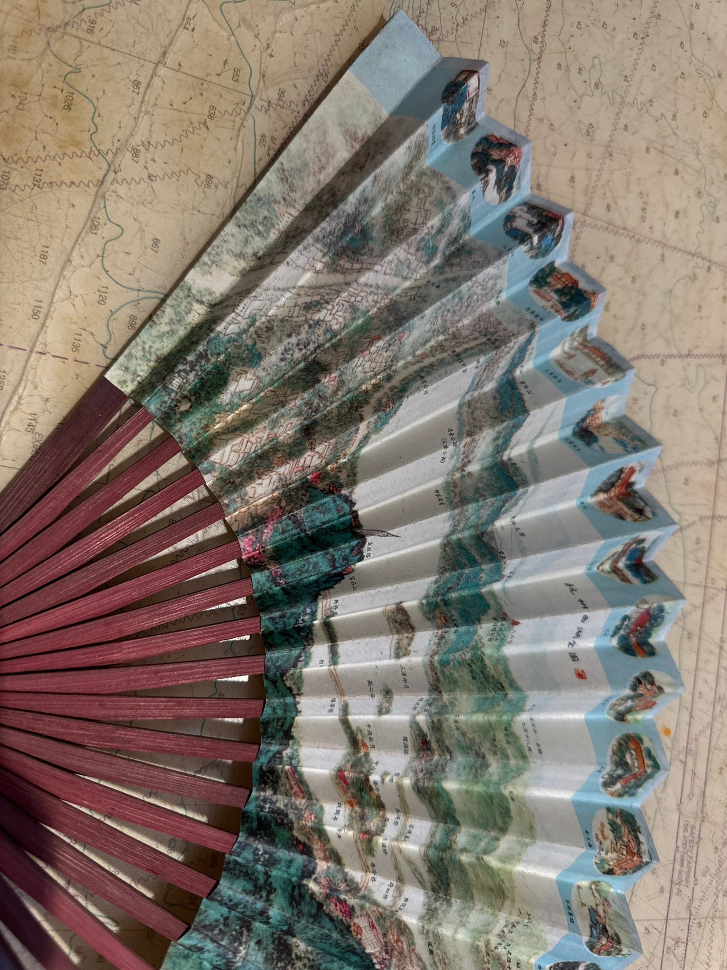 Chinese Hand Held Folding Fan | Paper Fan | Accessories