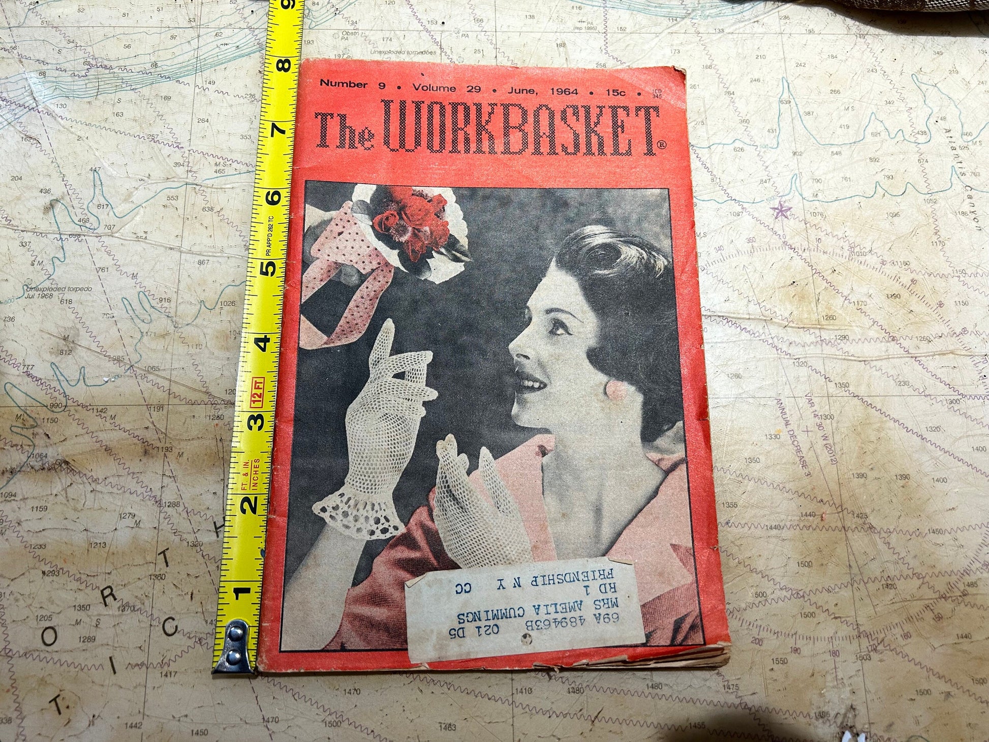 The Workbasket and Home Arts Magazine | June 1964 Issue