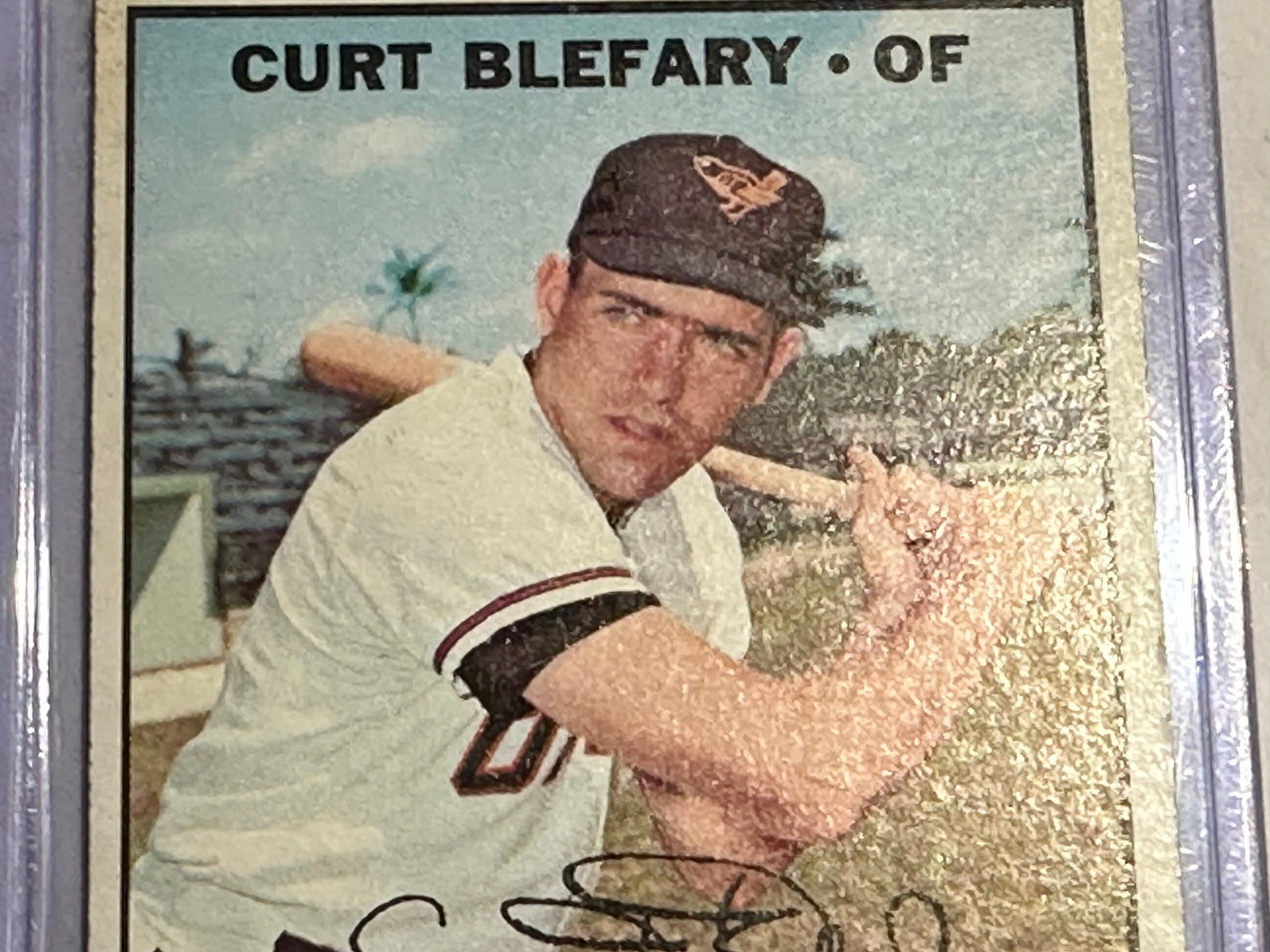 Curt Blefary - Baltimore Orioles - Outfield | Baseball Card