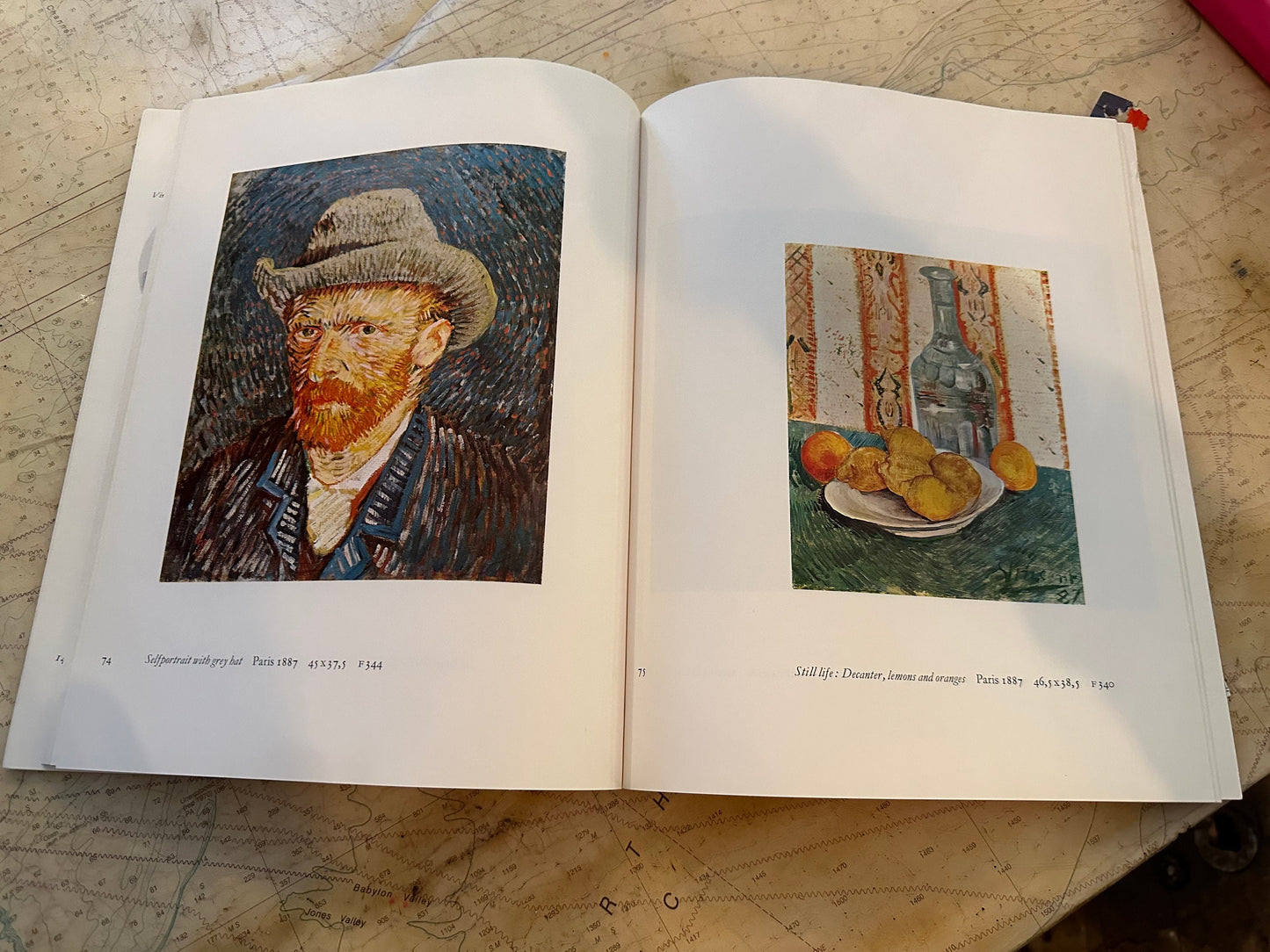 Vincent Van Gogh Painting & Drawings - Art Book