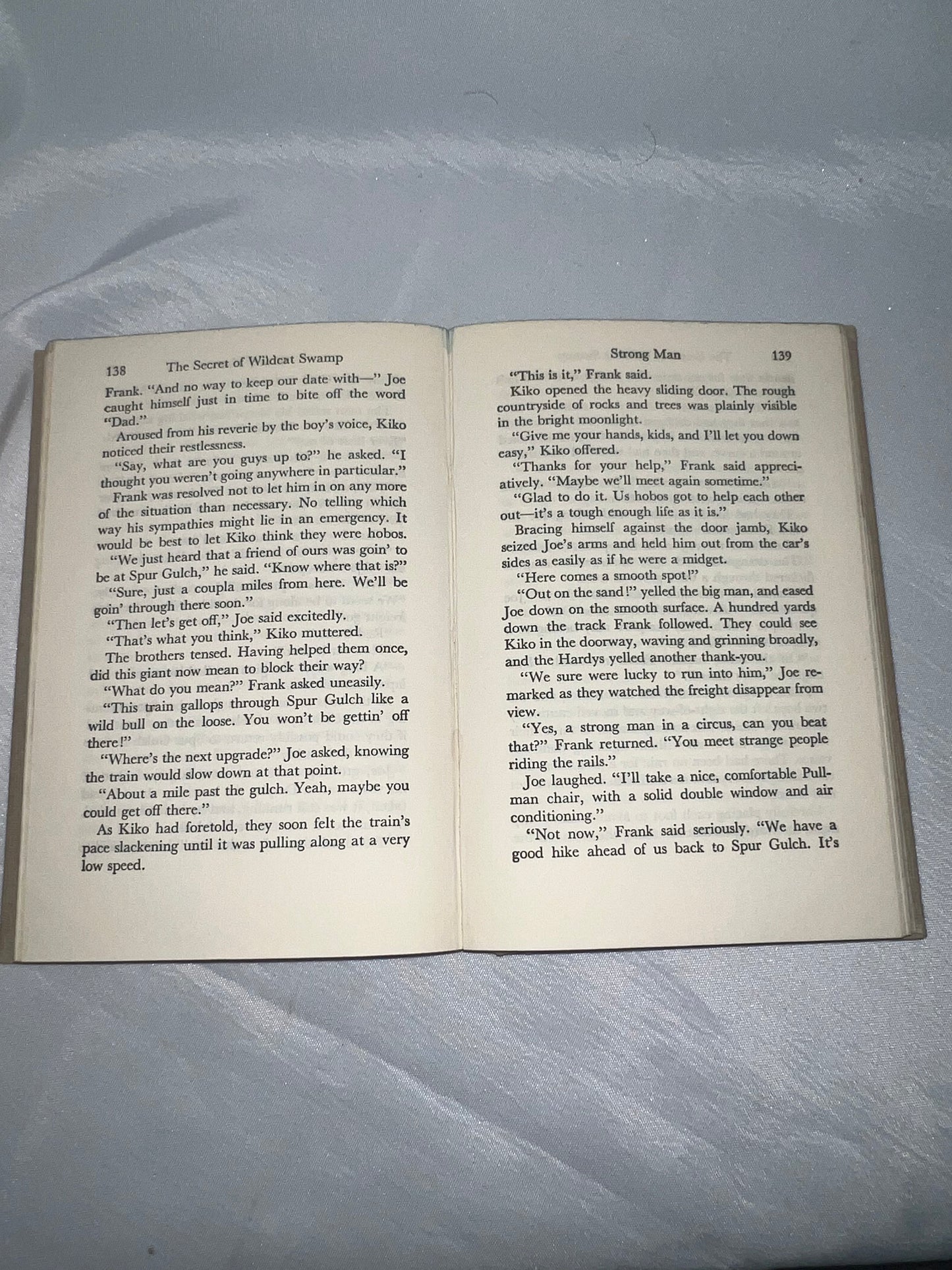 Secret of Wildcat Swamp Mystery Novel, Adventure Book, Children's Fiction, Kids Reading Gift, Nature Story