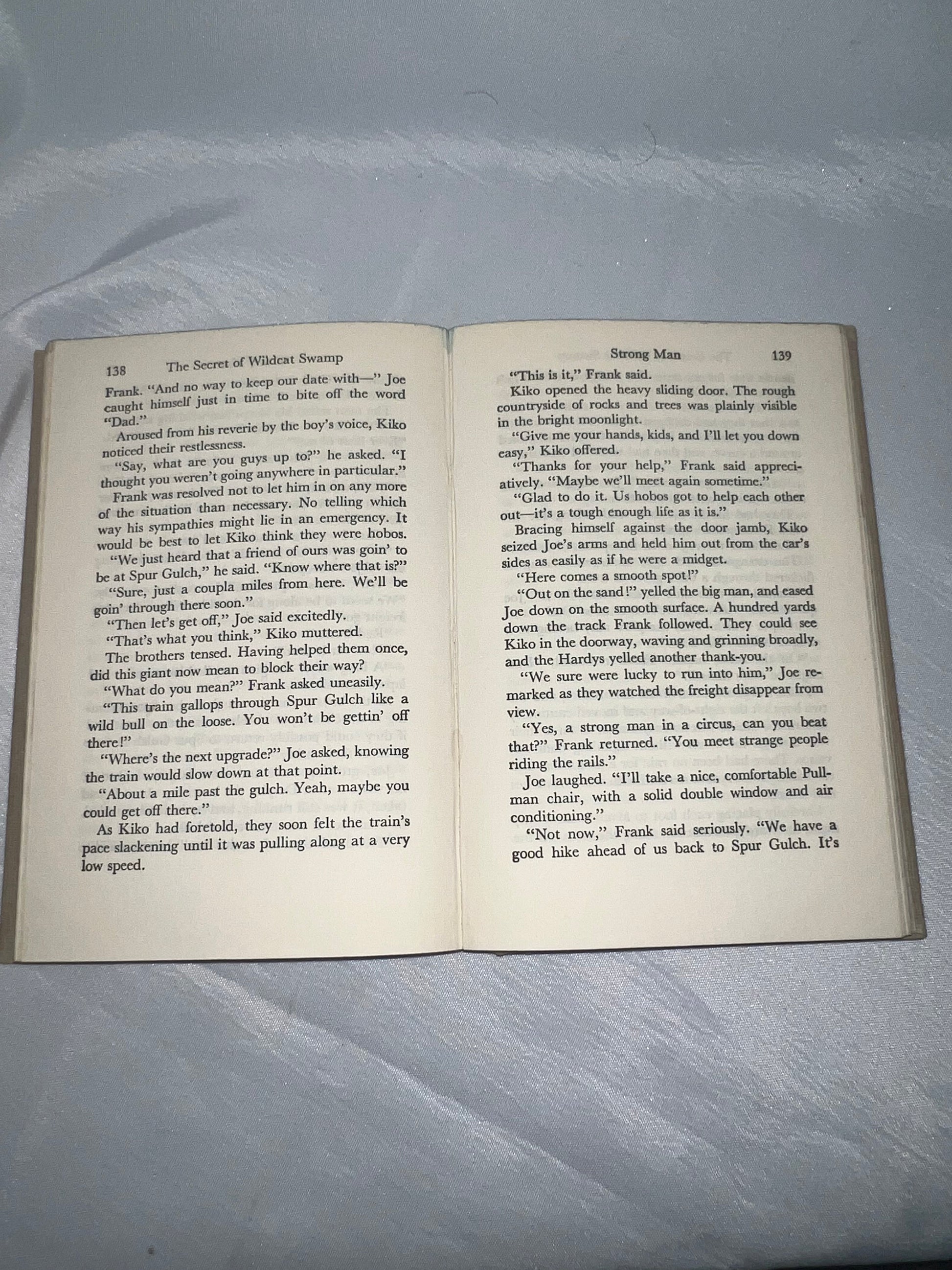 Secret of Wildcat Swamp Mystery Novel, Adventure Book, Children's Fiction, Kids Reading Gift, Nature Story
