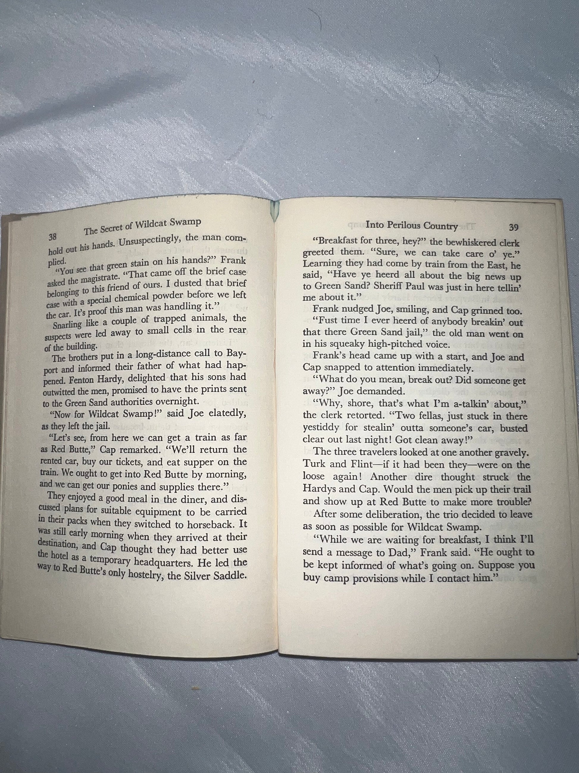 Secret of Wildcat Swamp Mystery Novel, Adventure Book, Children's Fiction, Kids Reading Gift, Nature Story