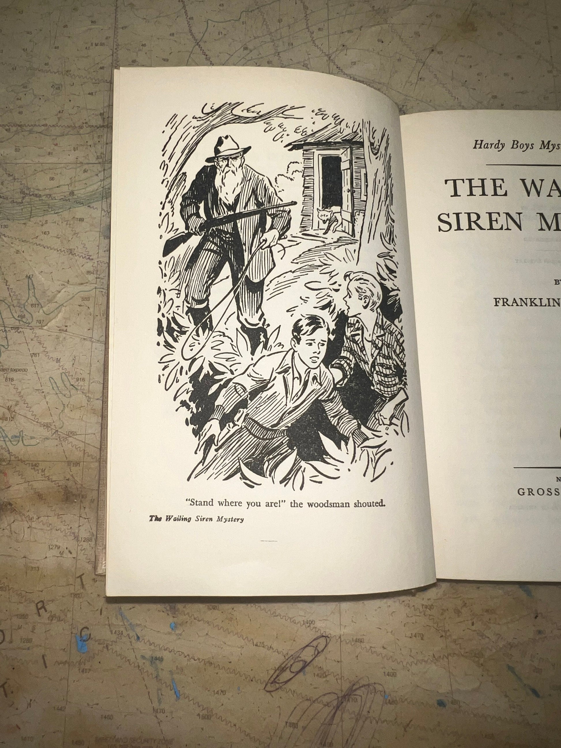 The Wailing Siren Mystery by Franklin W. Dixon