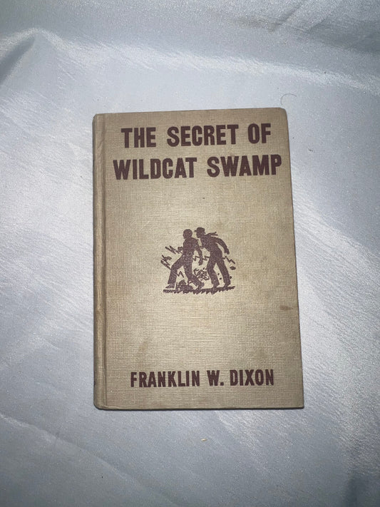 Secret of Wildcat Swamp Mystery Novel, Adventure Book, Children's Fiction, Kids Reading Gift, Nature Story
