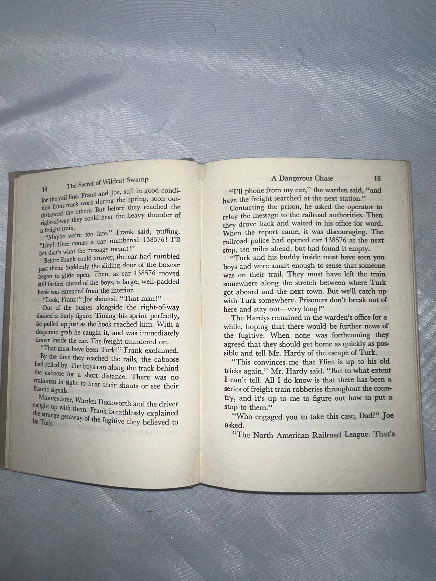 Secret of Wildcat Swamp Mystery Novel, Adventure Book, Children's Fiction, Kids Reading Gift, Nature Story