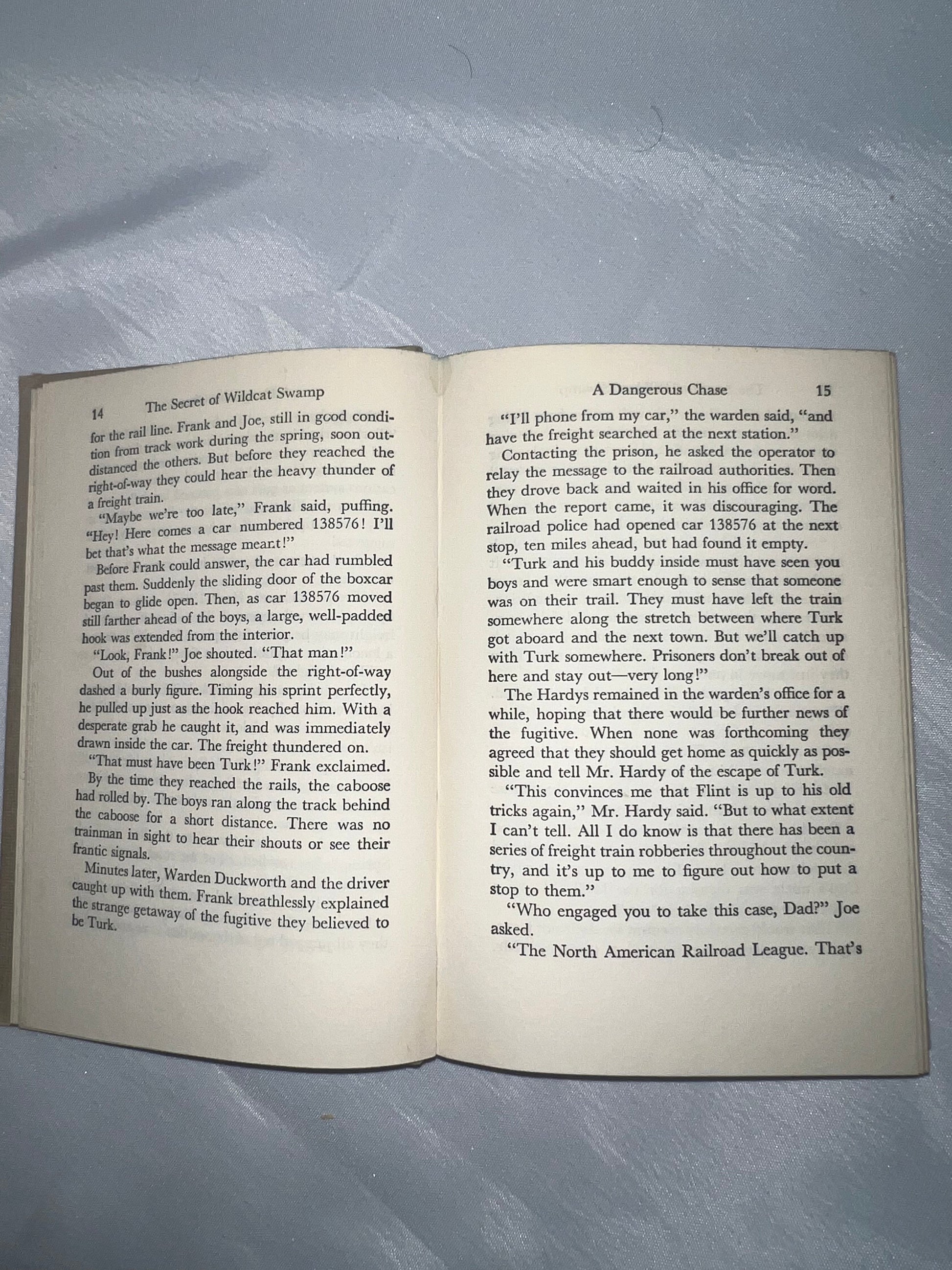 Secret of Wildcat Swamp Mystery Novel, Adventure Book, Children's Fiction, Kids Reading Gift, Nature Story