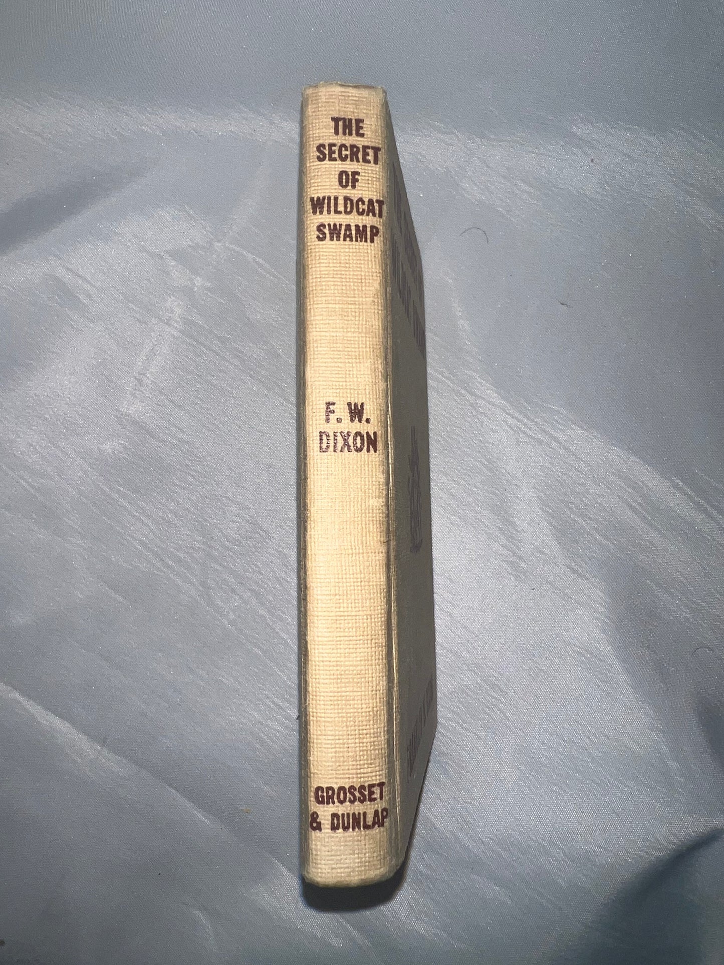 Secret of Wildcat Swamp Mystery Novel, Adventure Book, Children's Fiction, Kids Reading Gift, Nature Story