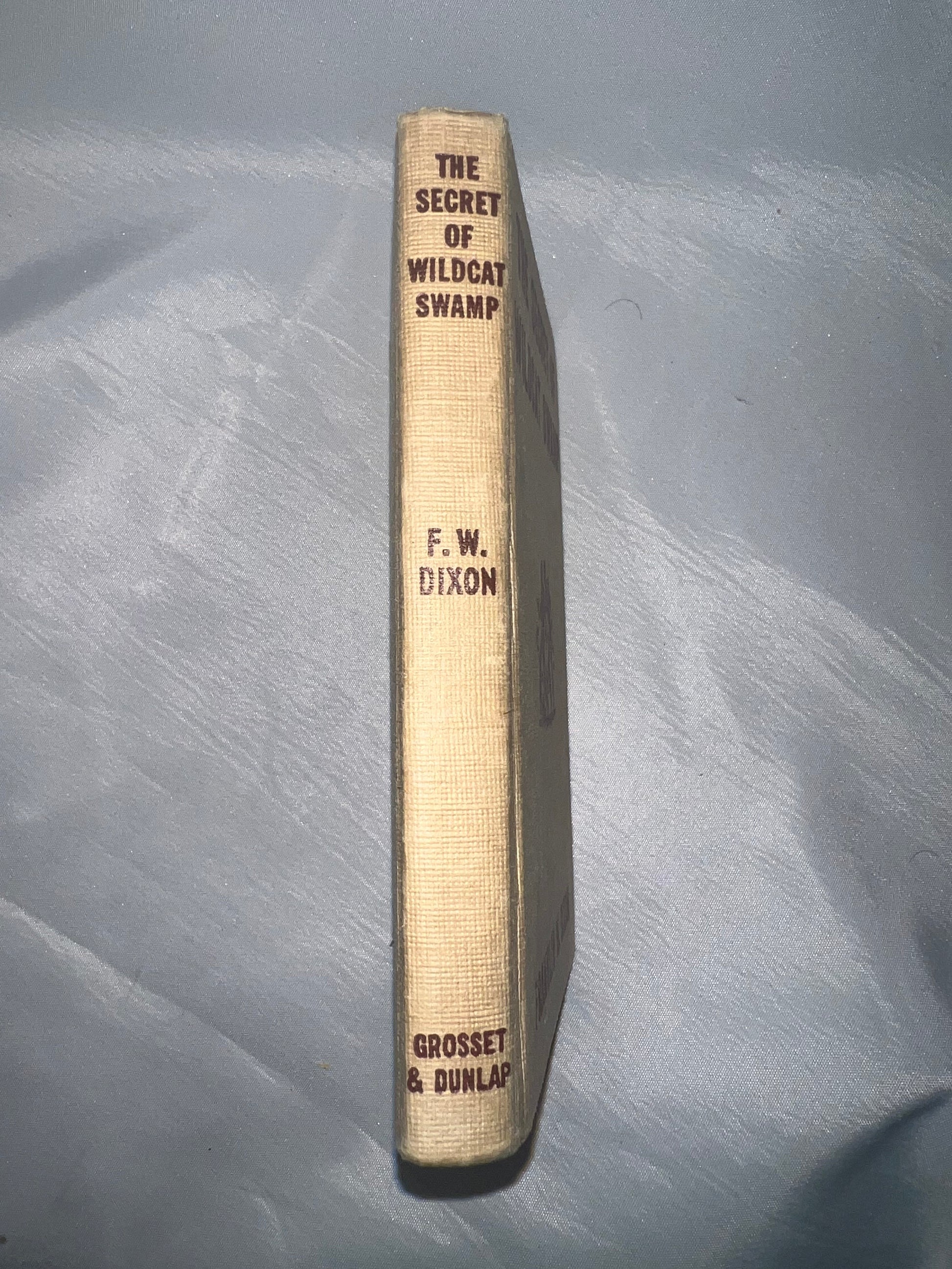Secret of Wildcat Swamp Mystery Novel, Adventure Book, Children's Fiction, Kids Reading Gift, Nature Story
