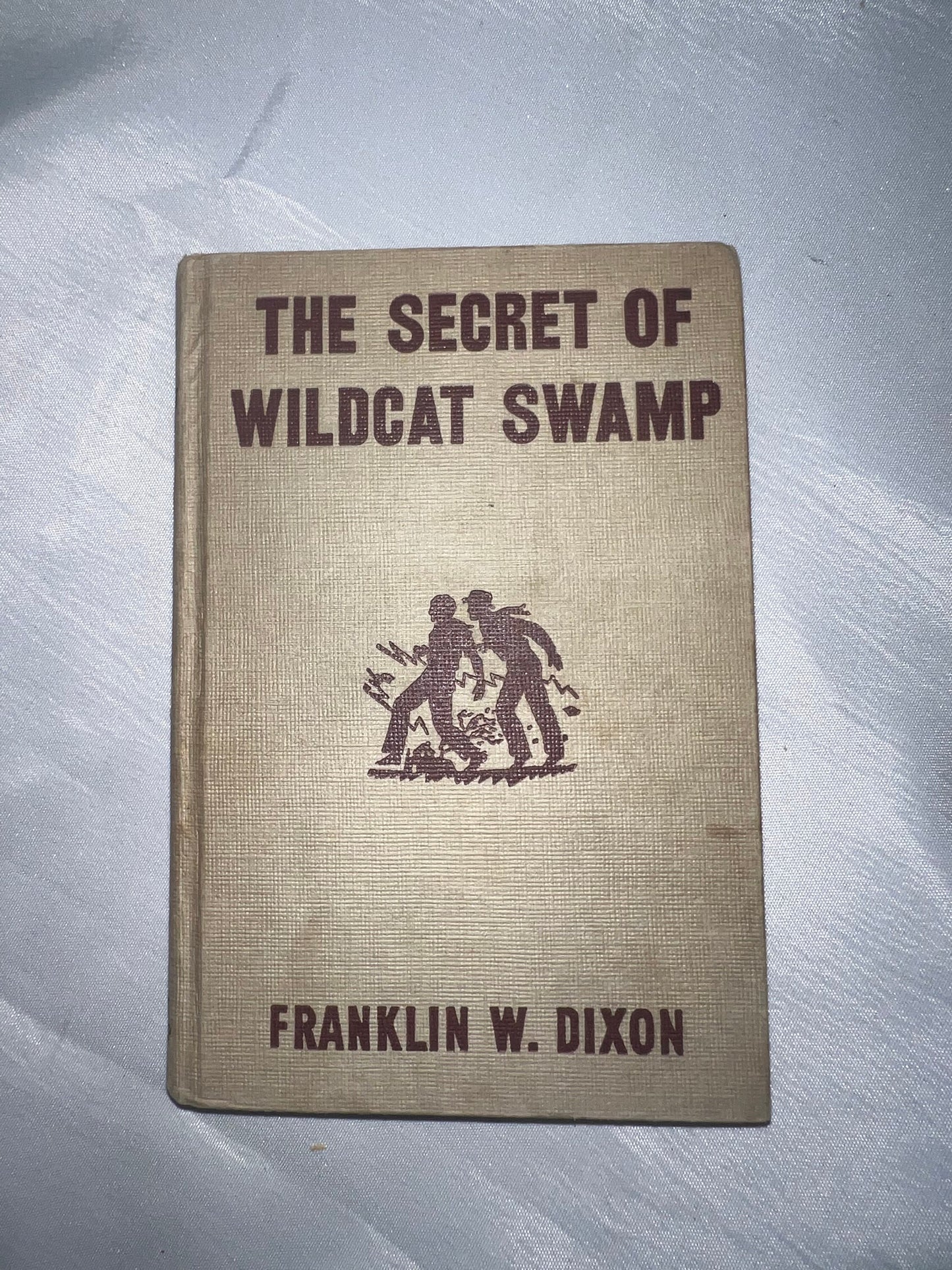 Secret of Wildcat Swamp Mystery Novel, Adventure Book, Children's Fiction, Kids Reading Gift, Nature Story