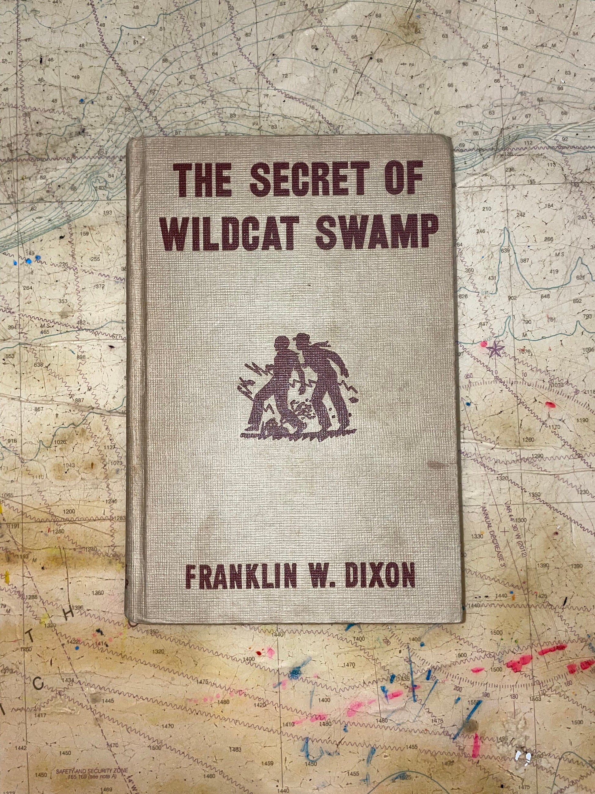 The Secret of Wildcat Swamp by Franklin W. Dixon