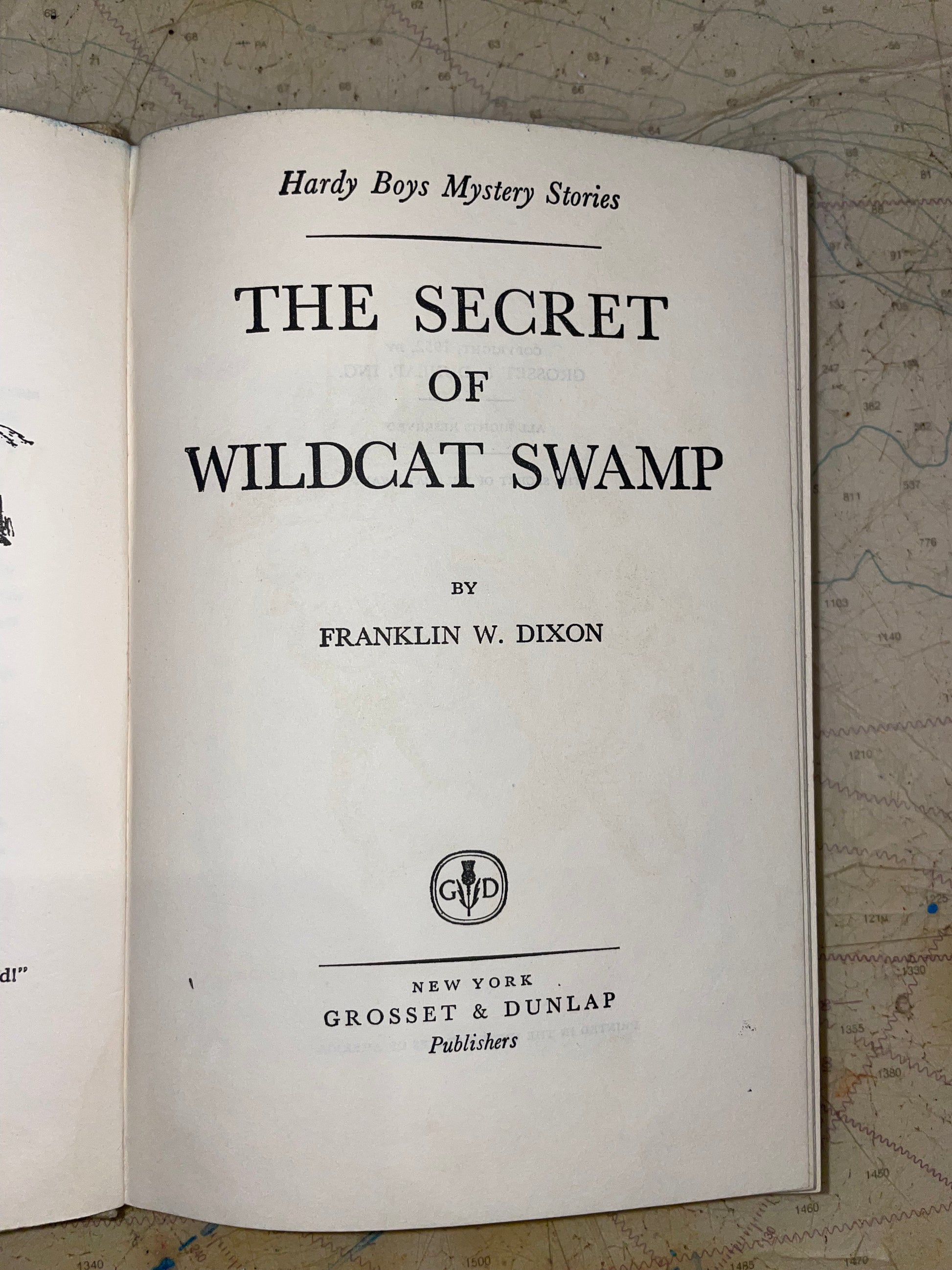 The Secret of Wildcat Swamp by Franklin W. Dixon