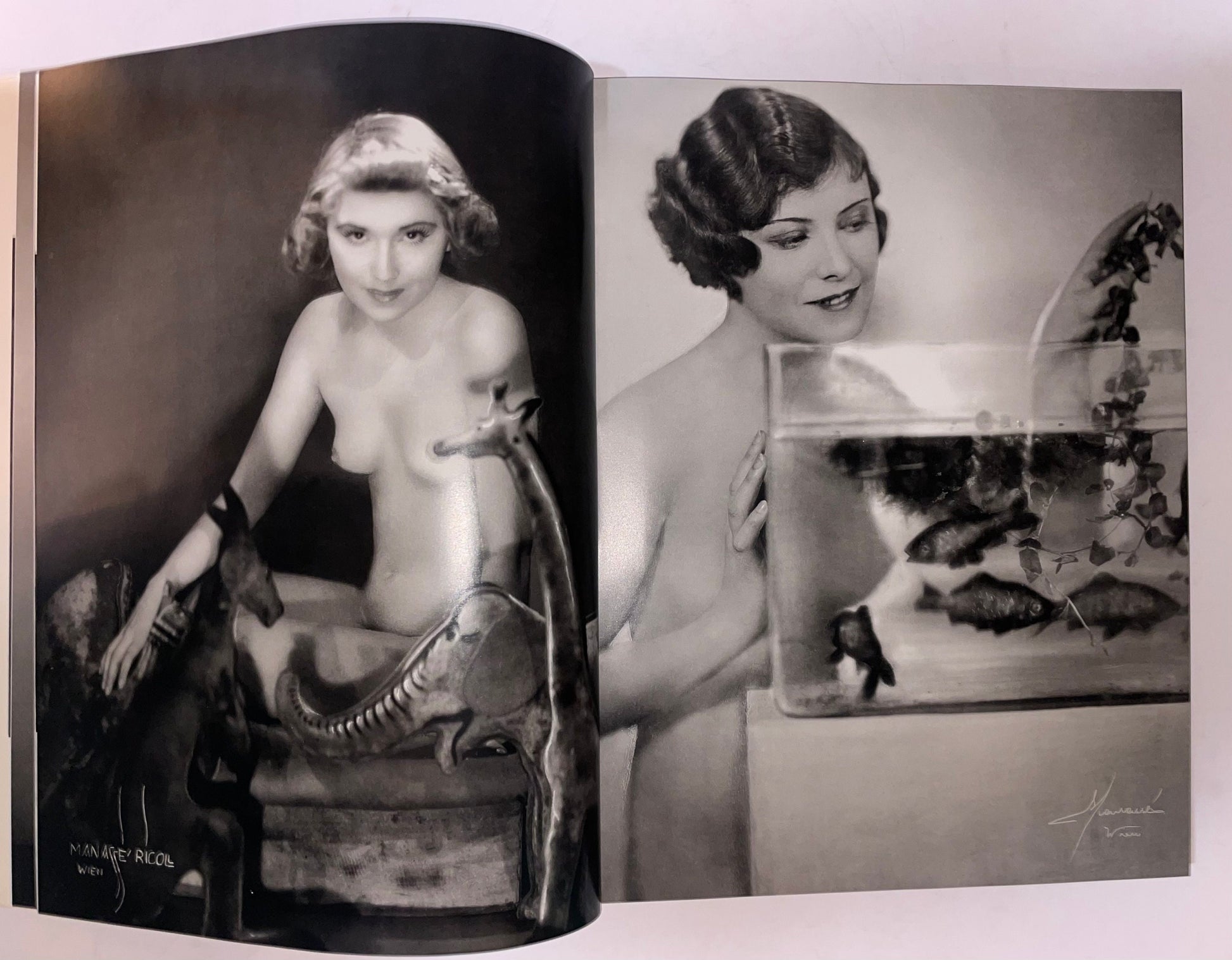 Divas and Lovers: The Erotic Art of Studio Manasse D. H. Lawrence & Monika Faber