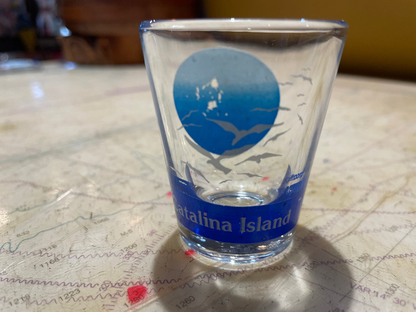 Vintage Catalina Island Shot Glass