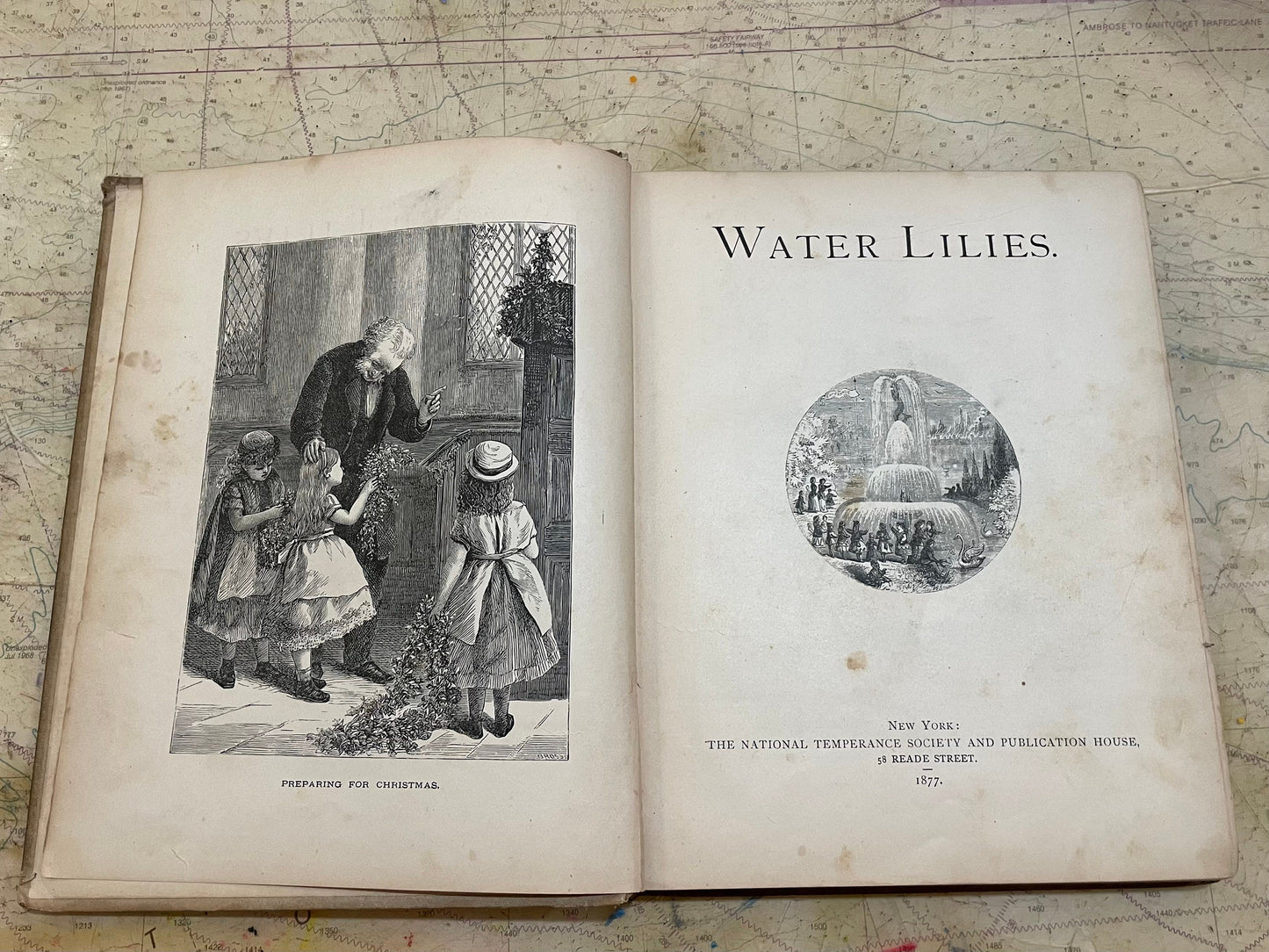 Water Lilies New York: The National Temperance Society and Publication House