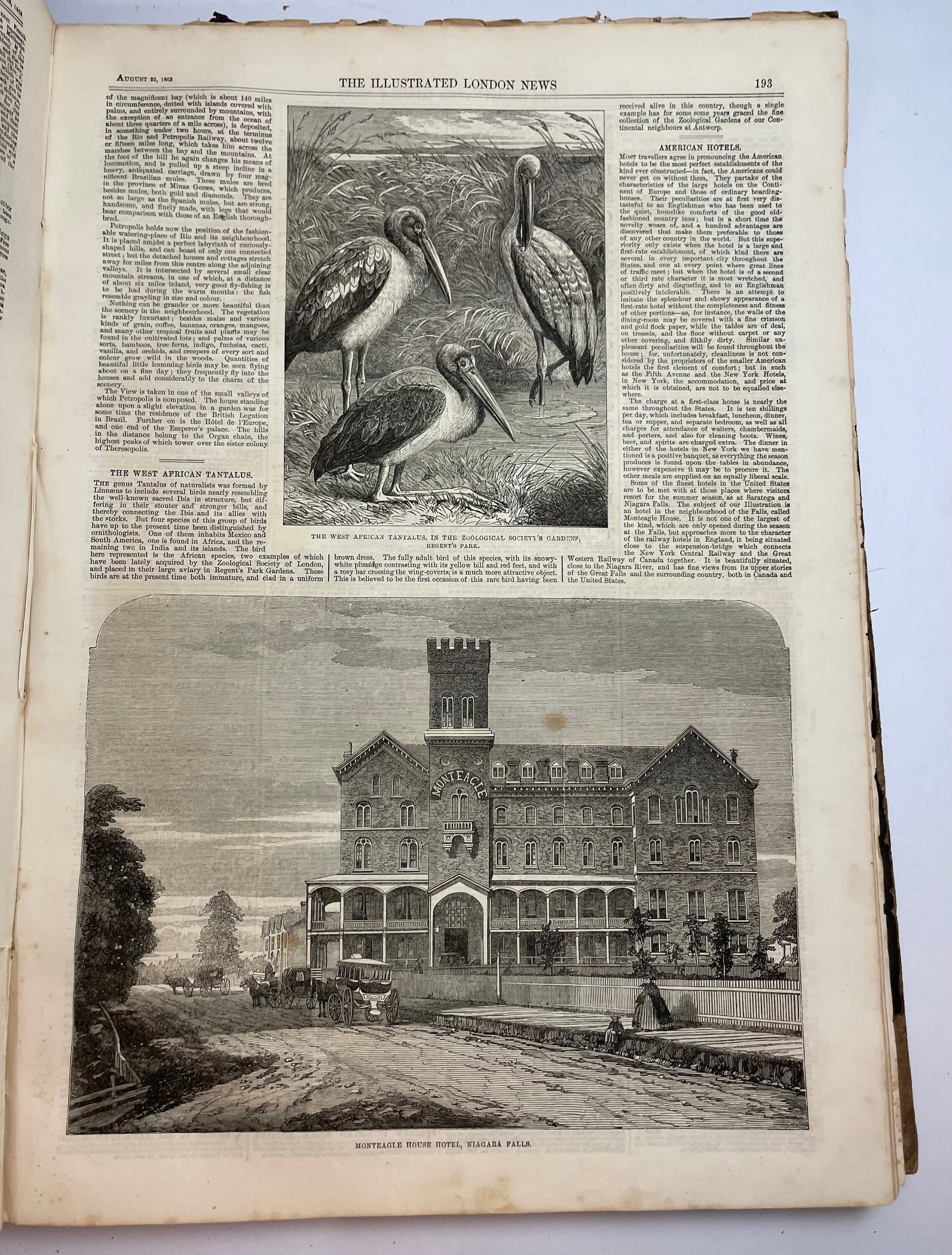 Antique The Illustrated London News.