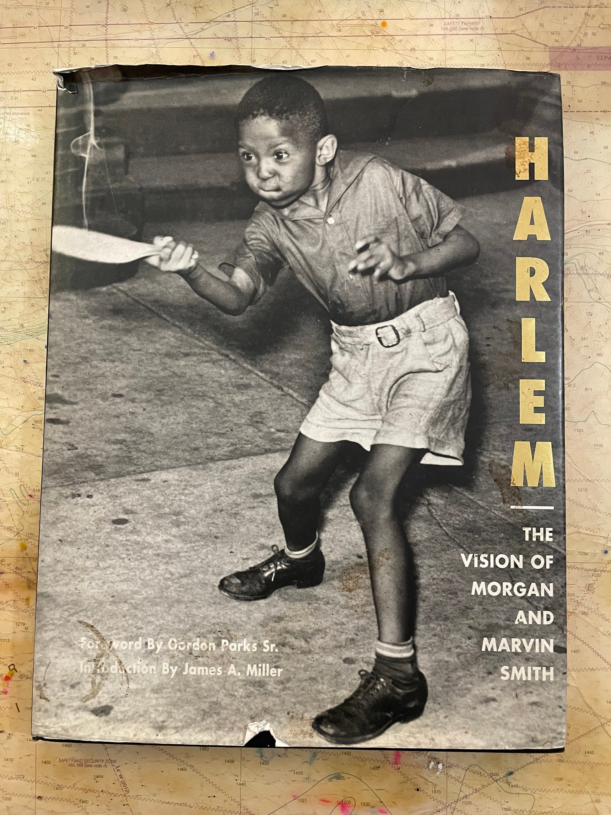 Harlem The Vision of Morgan and Marvin Smith