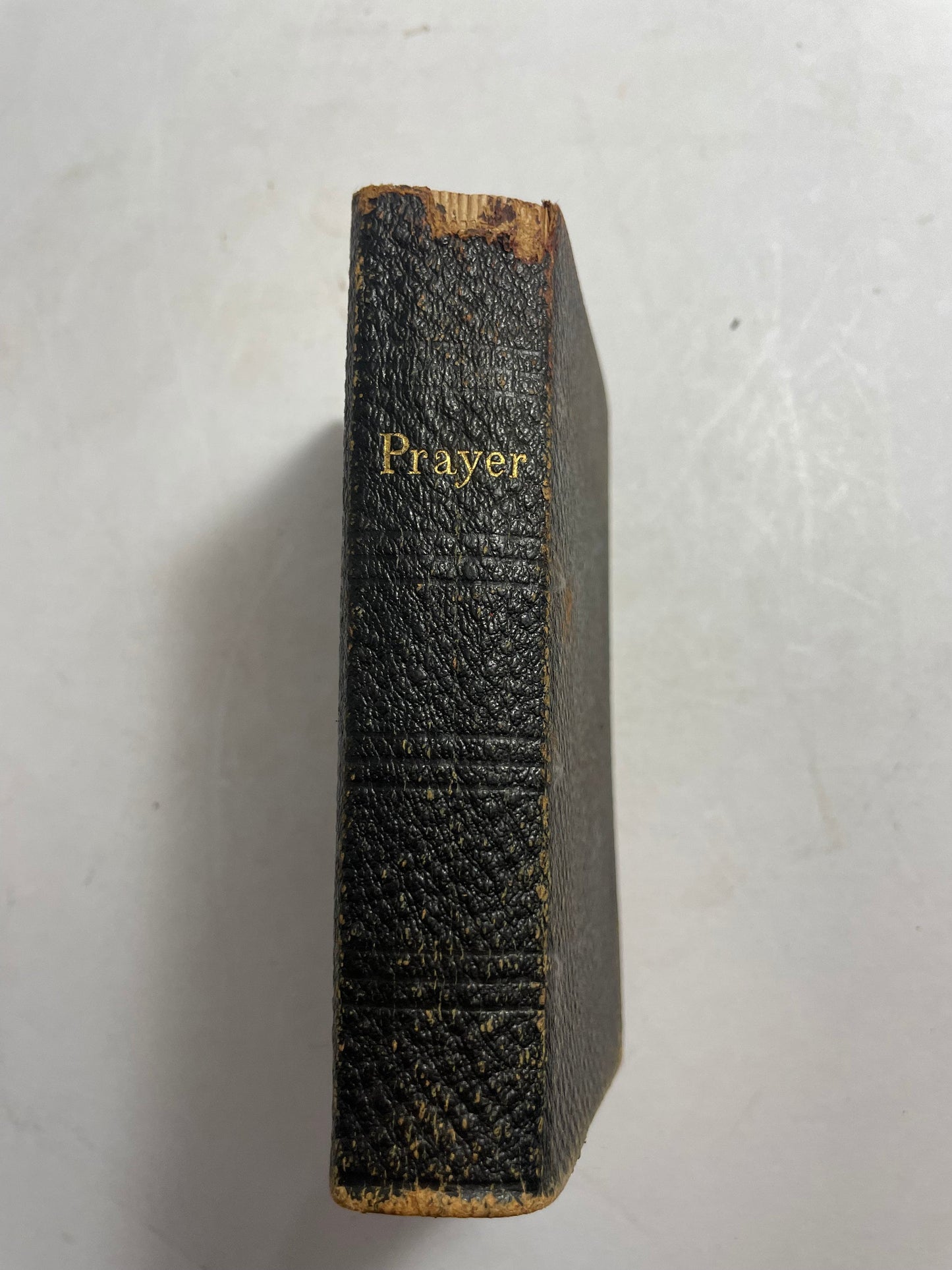 The Book of Common Prayer, and Administration of The Sacraments, Antique from 1881, Rare Antique Book, Collectible Christian Devotional