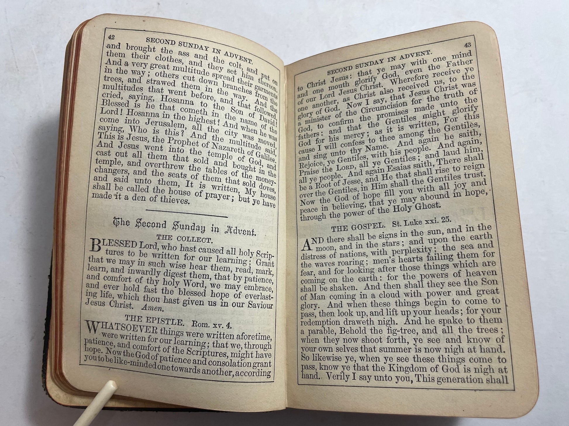 The Book of Common Prayer, and Administration of The Sacraments, Antique from 1881, Rare Antique Book, Collectible Christian Devotional