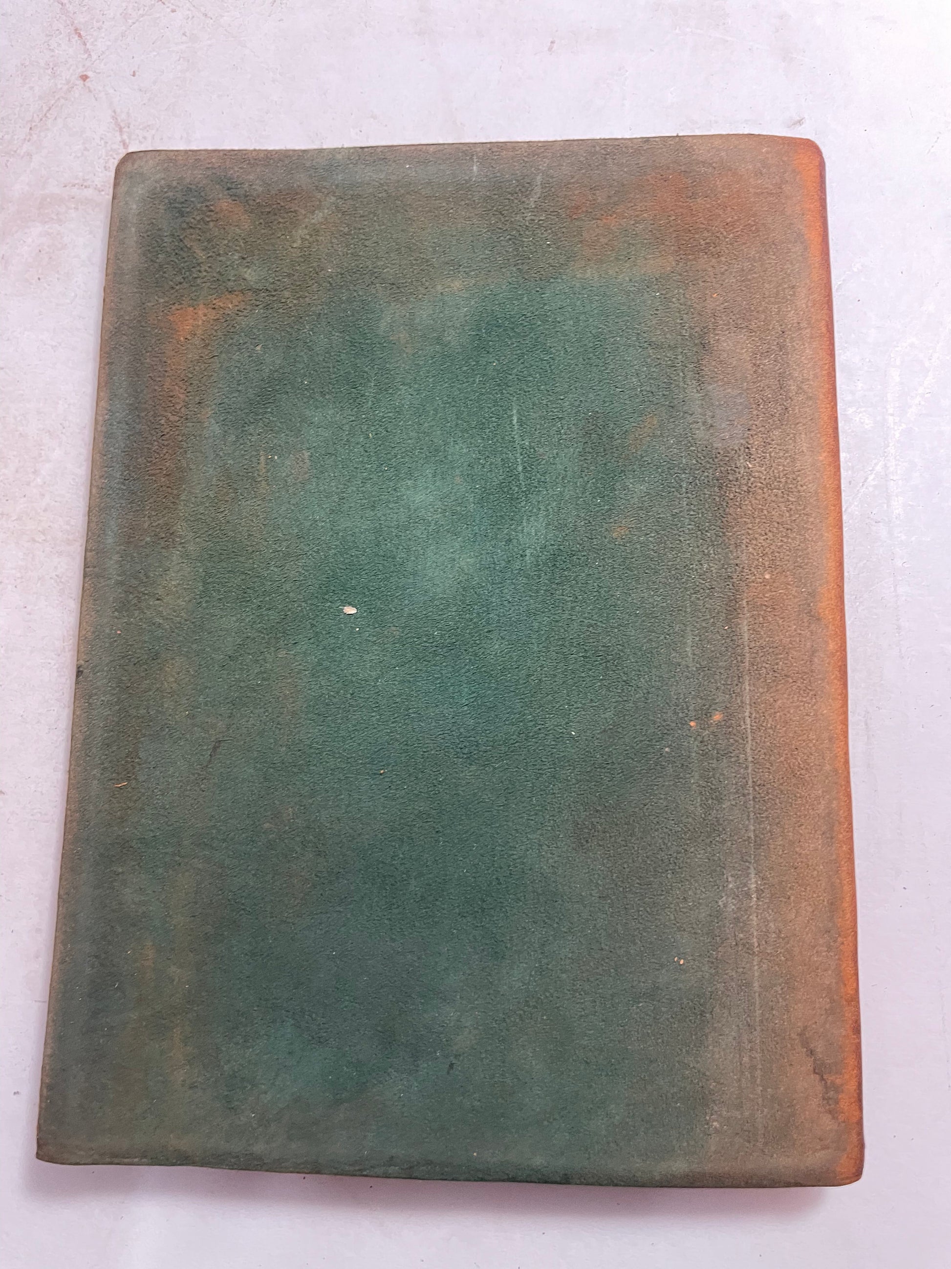 Shadow A Christmas Story by Harry Stillwell Edwards, 1900's Classic, Antique Literature, Rare Edition, Gift for Book Lovers