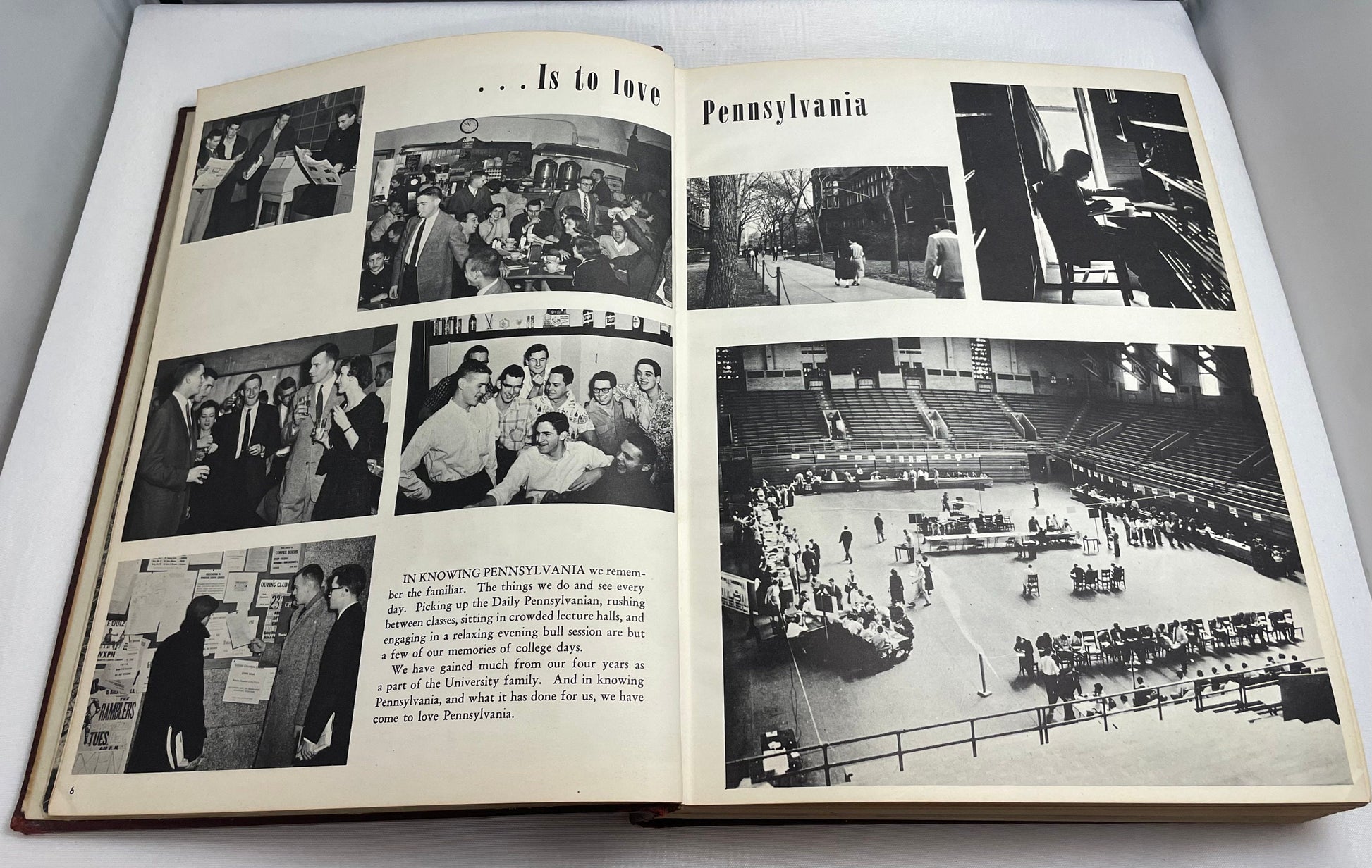 University of Pennsylvania 1956 Yearbook, Class of 1956, 1950's Yearbook, Vintage College Yearbook, Penn State University