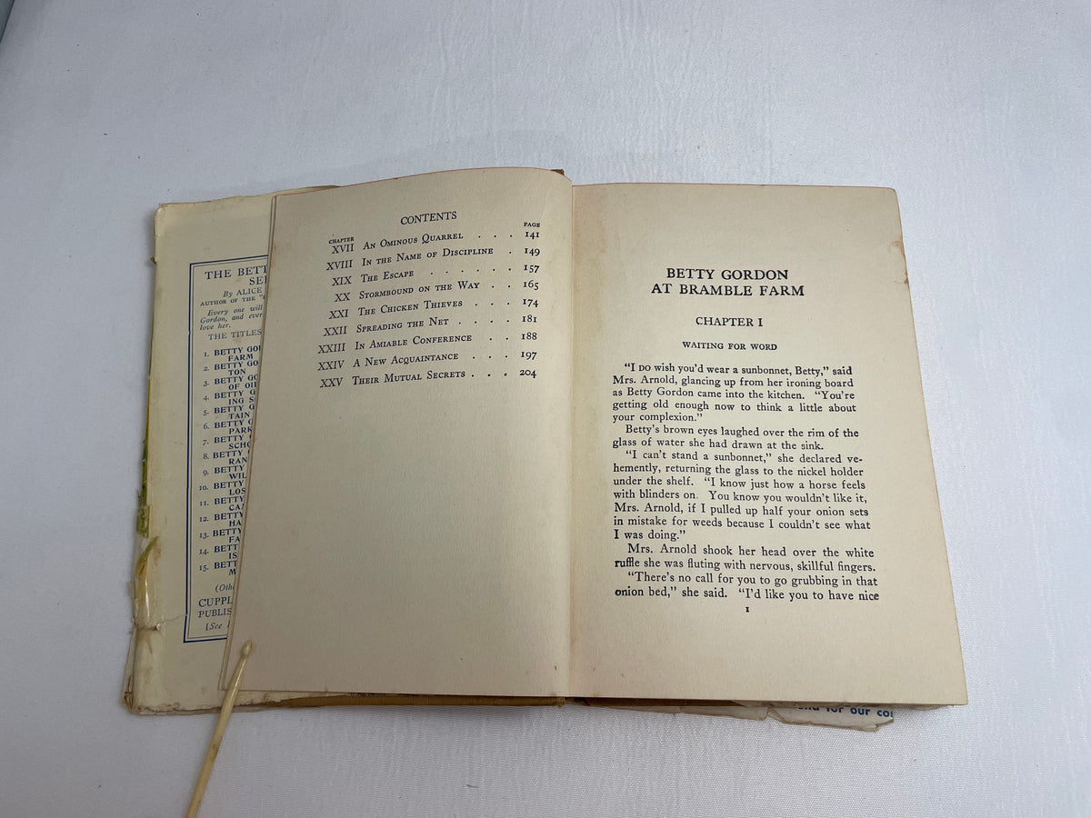 Betty Gordon at Bramble Farm or The Mystery of a Nobody By Alice B. Emerson, Illustrated Book, 1920's Books, Collectible Series