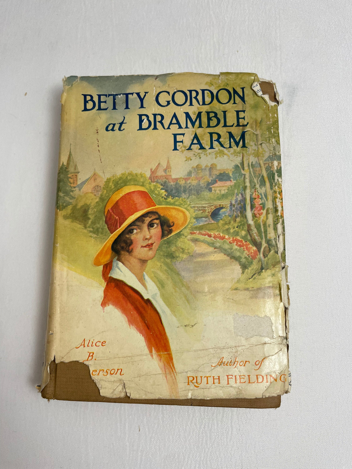Betty Gordon at Bramble Farm or The Mystery of a Nobody By Alice B. Emerson, Illustrated Book, 1920's Books, Collectible Series