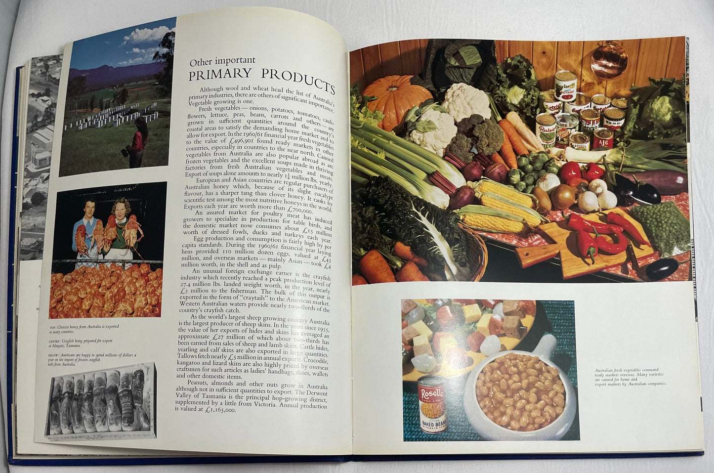 Spotlight on Australia, Australian Publicity Council, 1960's Book, Vintage Collectible, Hardcover, Guide to Australia