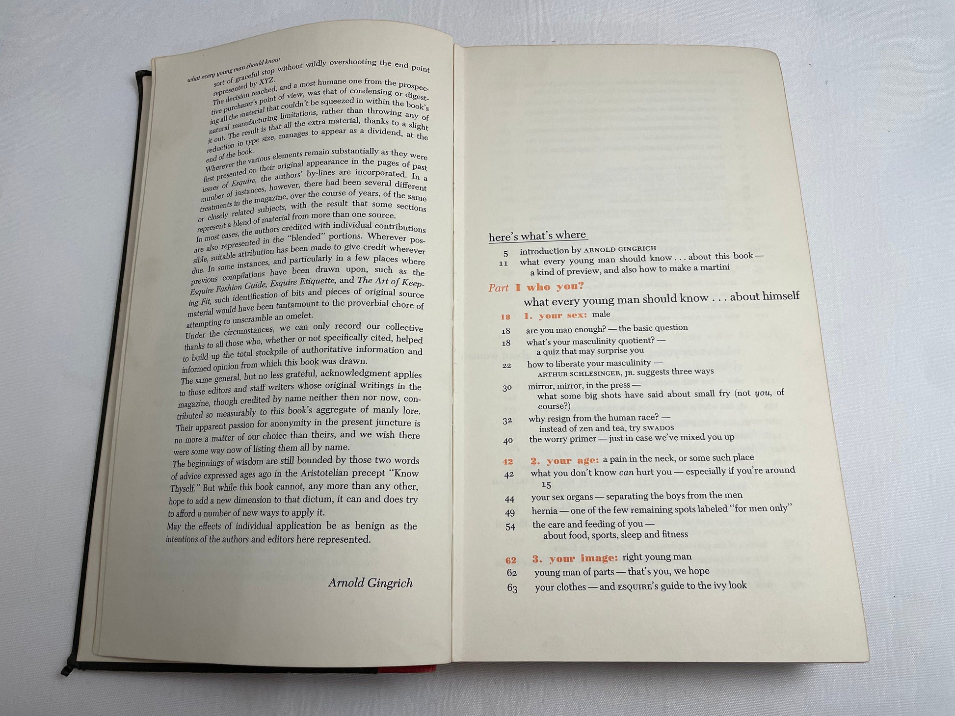 What Every Young Man Should Know by the editors of Esquire with Scotty Welch, Vintage 1960's, Original Book, Collectible Novel, Manners Book