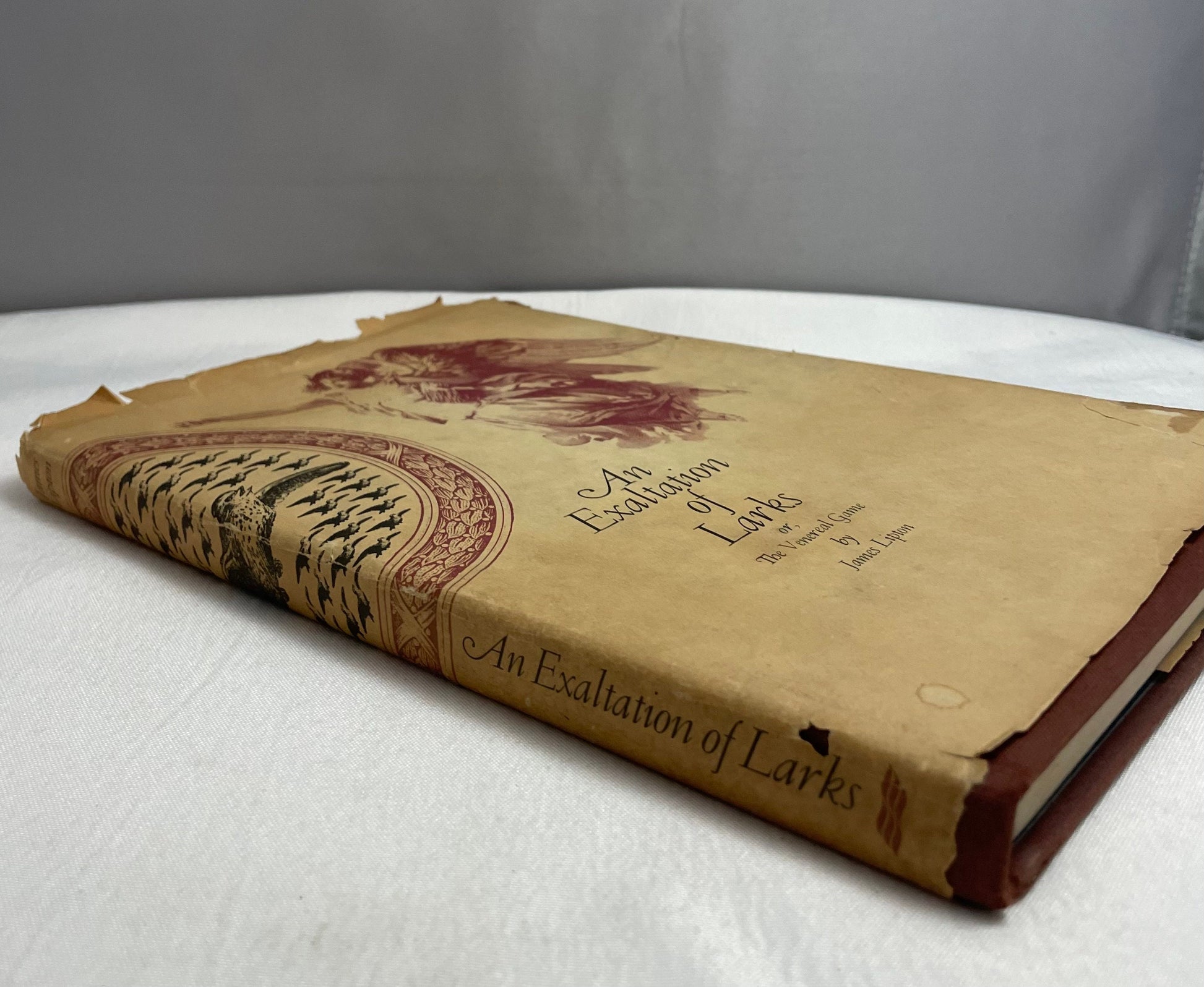 An Exaltation of Larks or, The Venereal Game by James Lipton, First Edition 1968, Illustrated Book, Vintage Collectible