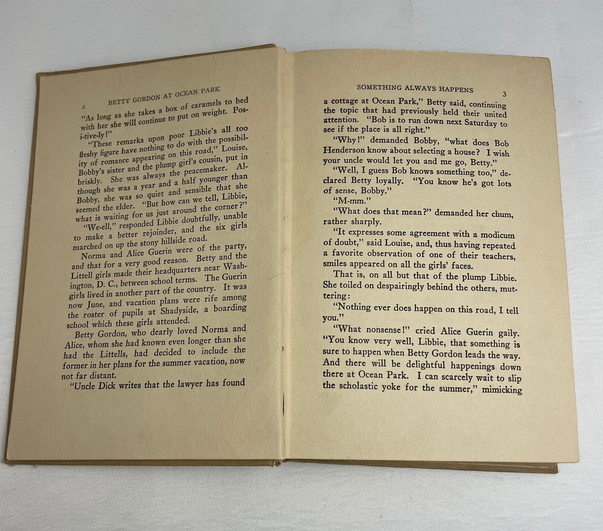 Betty Gordon at Ocean Park or Gay Days on the Boardwalk By Alice B. Emerson, Illustrated Book, 1920's Books, Collectible Series