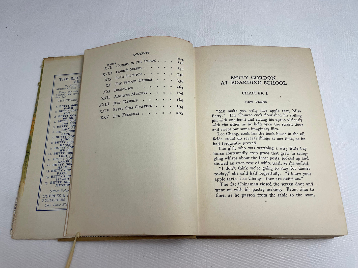 Betty Gordon at Boarding School or The Treasure of Indian Chasm By Alice B. Emerson, Illustrated Book, 1920's Books, Collectible Series