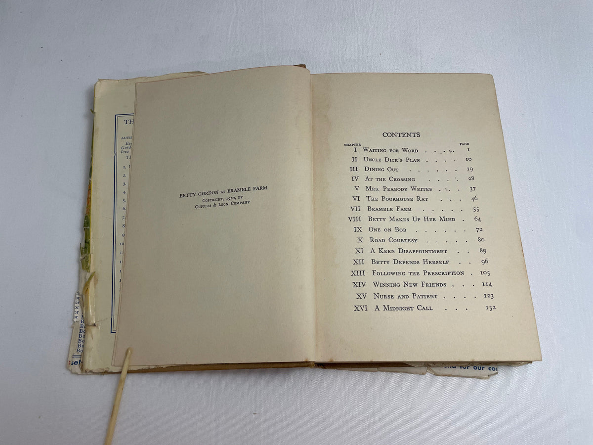 Betty Gordon at Bramble Farm or The Mystery of a Nobody By Alice B. Emerson, Illustrated Book, 1920's Books, Collectible Series