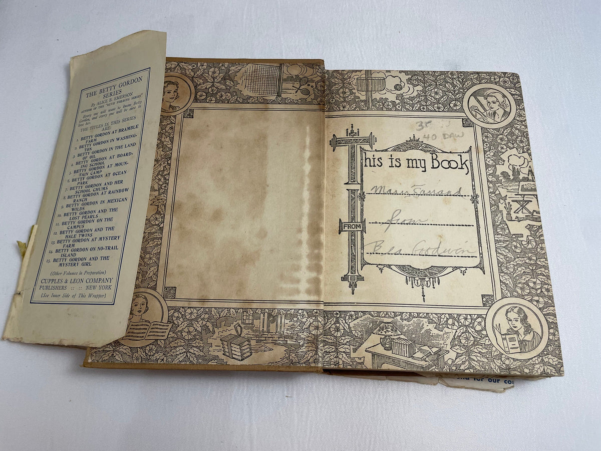 Betty Gordon at Bramble Farm or The Mystery of a Nobody By Alice B. Emerson, Illustrated Book, 1920's Books, Collectible Series