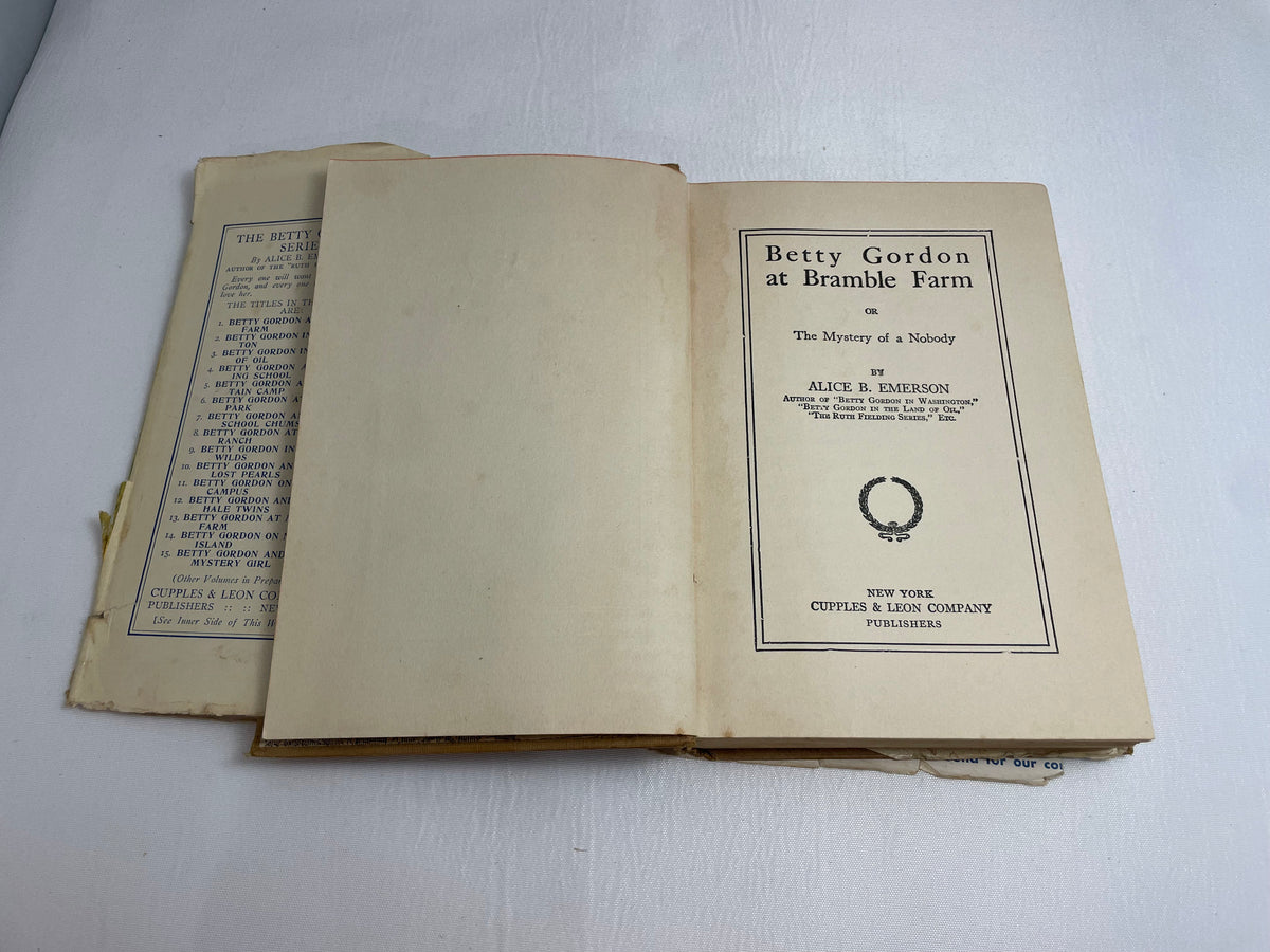 Betty Gordon at Bramble Farm or The Mystery of a Nobody By Alice B. Emerson, Illustrated Book, 1920's Books, Collectible Series