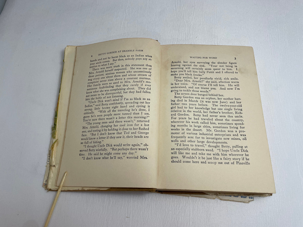 Betty Gordon at Bramble Farm or The Mystery of a Nobody By Alice B. Emerson, Illustrated Book, 1920's Books, Collectible Series