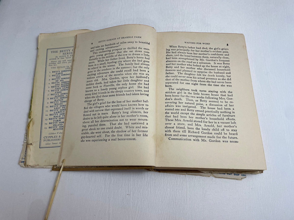 Betty Gordon at Bramble Farm or The Mystery of a Nobody By Alice B. Emerson, Illustrated Book, 1920's Books, Collectible Series