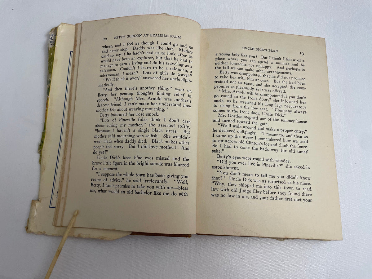 Betty Gordon at Bramble Farm or The Mystery of a Nobody By Alice B. Emerson, Illustrated Book, 1920's Books, Collectible Series