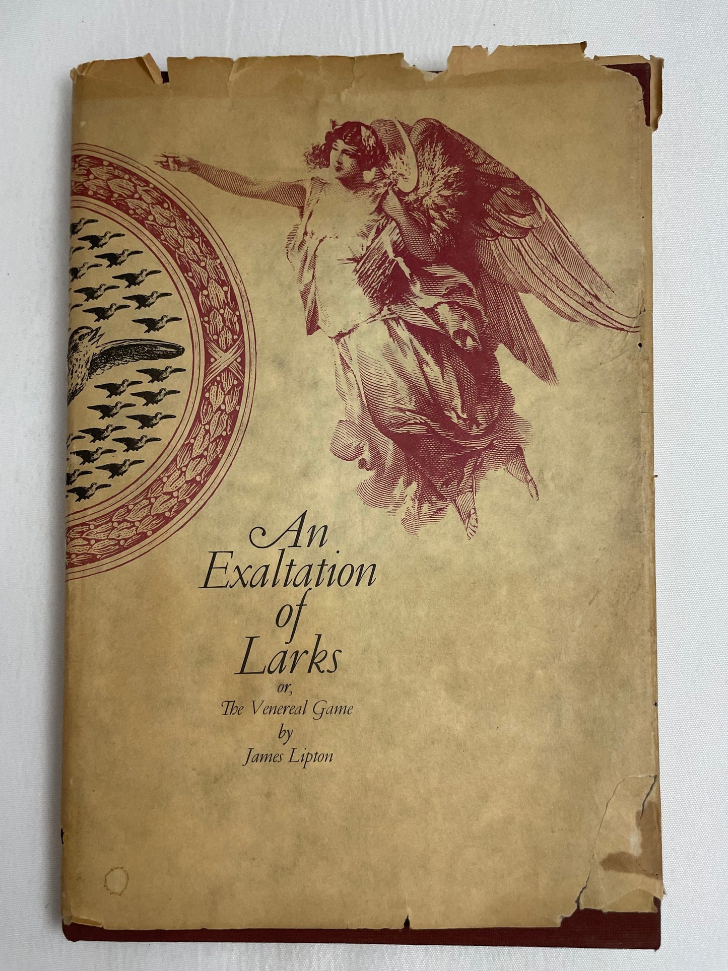 An Exaltation of Larks or, The Venereal Game by James Lipton, First Edition 1968, Illustrated Book, Vintage Collectible