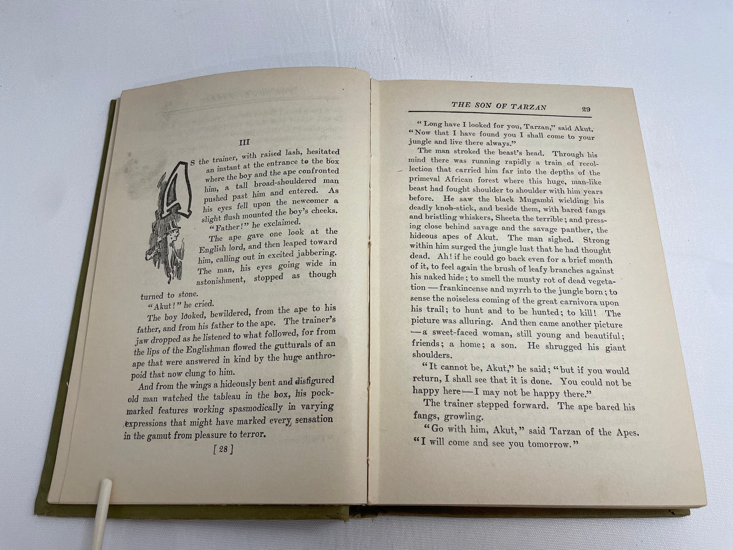 The Son of Tarzan by Edgar Rice Burroughs, 1918 Edition, Hardcover, Vintage Collectible Book, Antiques