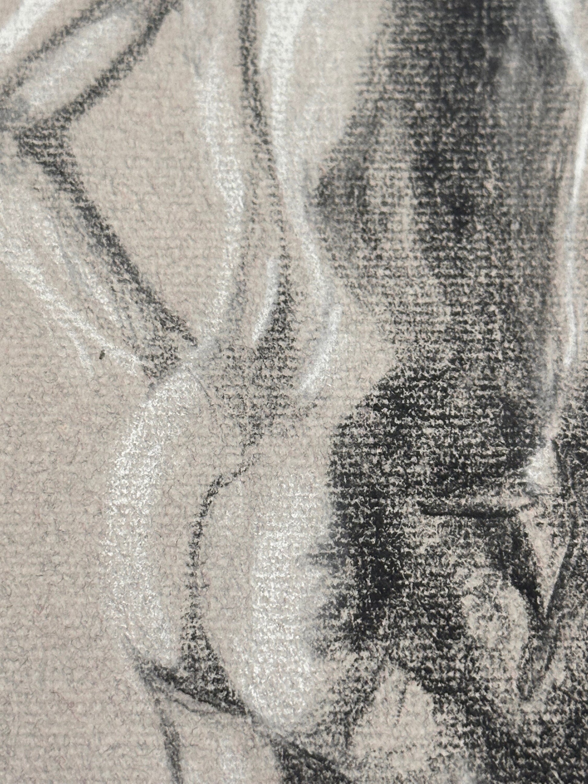 Male Nude Sketch by Ginger Kane, Charcoal Artwork, Figure Drawing, Wall Art Decor, Nude Male Portrait