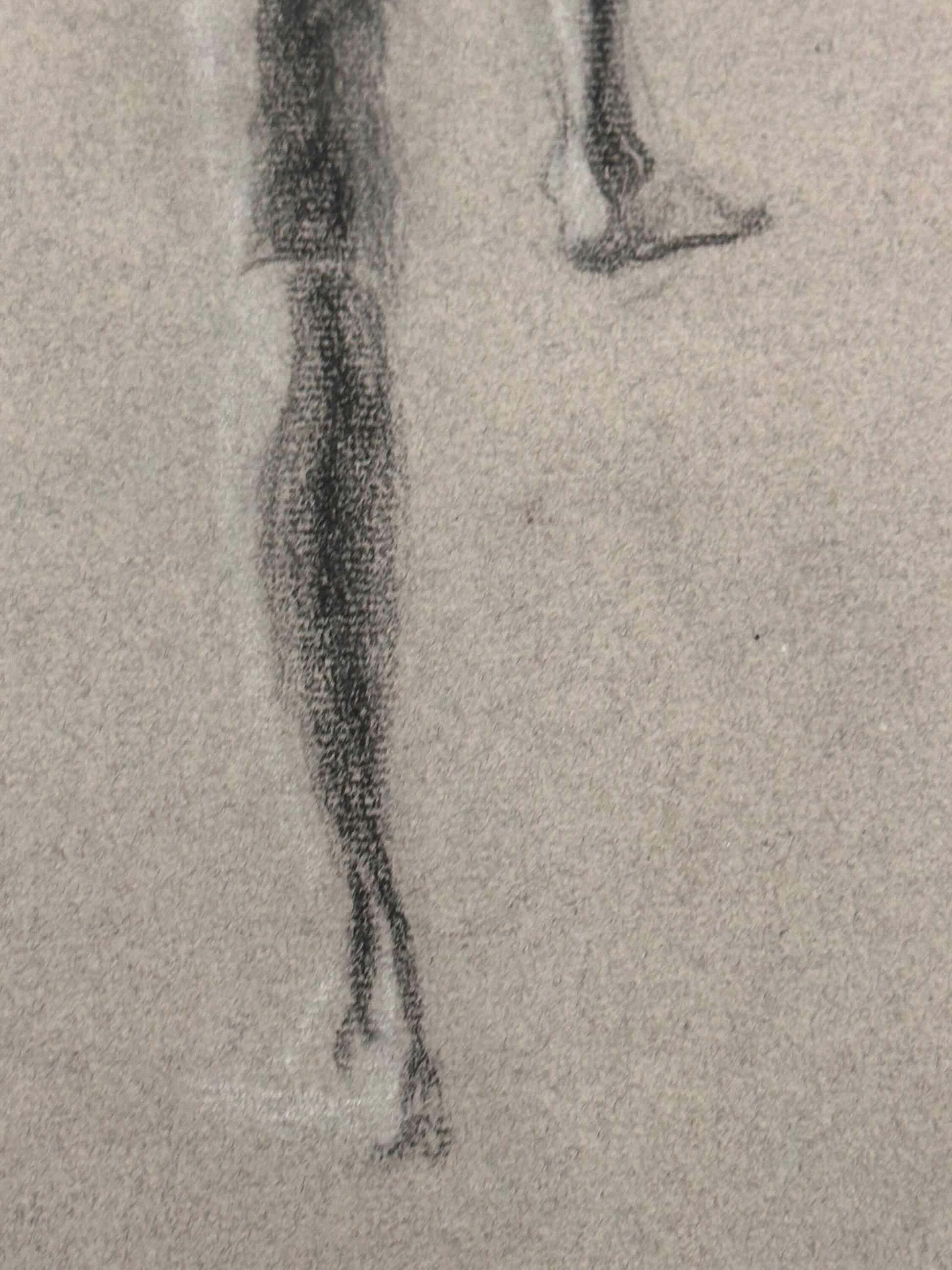 Male Nude Back Sketch by Ginger Kane, Charcoal Artwork, Figure Drawing, Wall Art Decor, Nude Male Portrait