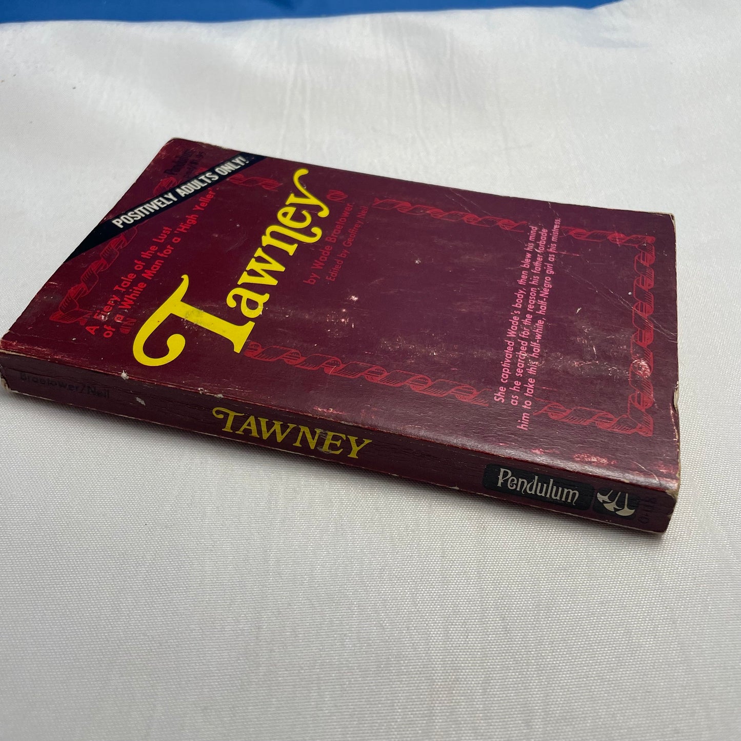 Tawney by Wade Braetower 1969 Paperback Edition, Vintage Literary Classic, Collectible Book, English Language