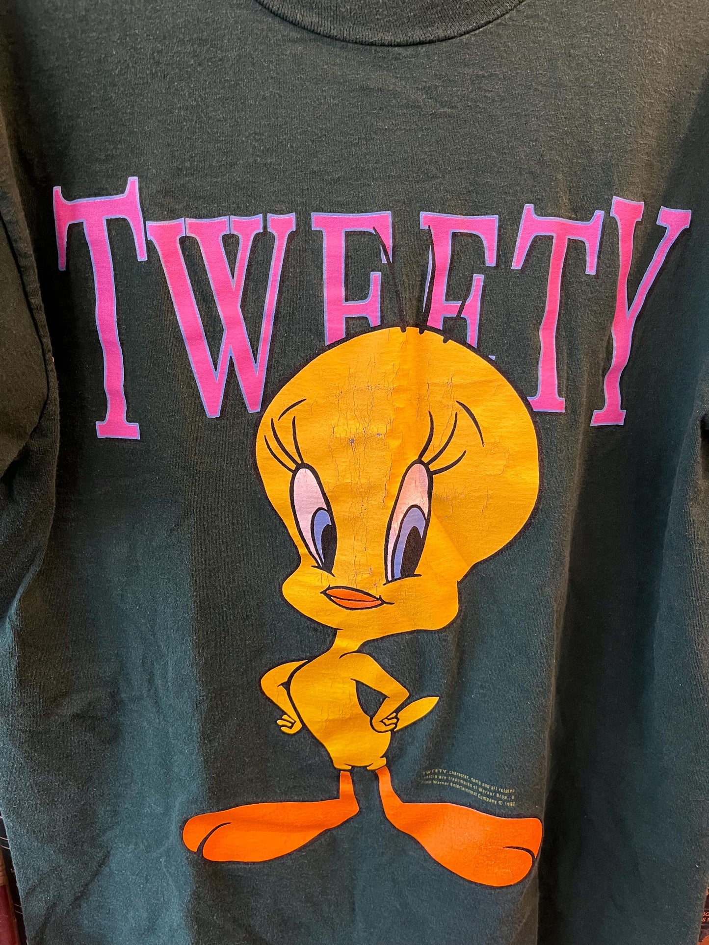 Vintage Tweety Bird 1992 Green Graphic Tee, Looney Tunes Shirt, Retro Cartoon Tee